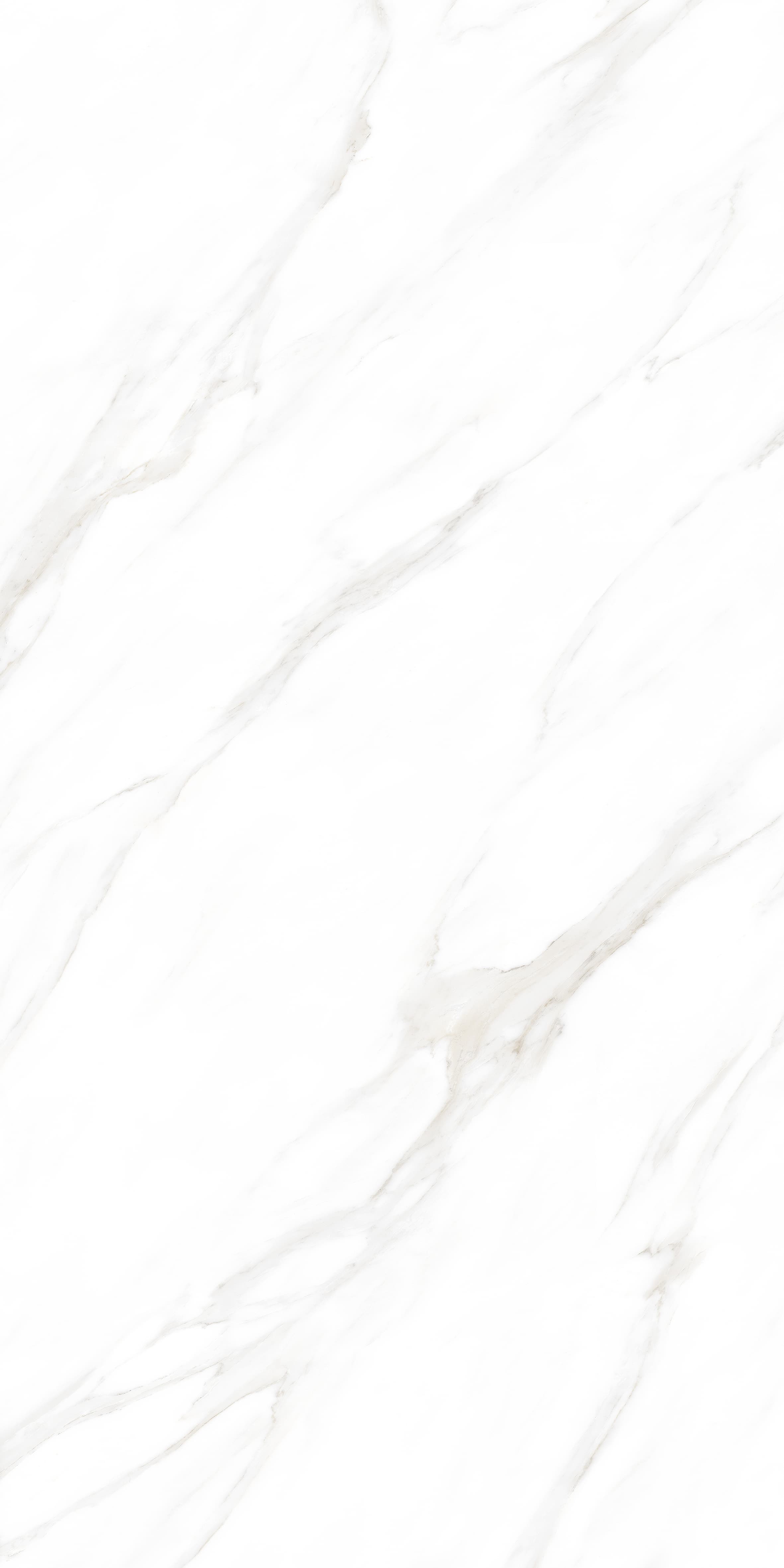 Vitoria Bianco slab 60 X 120 CM 3