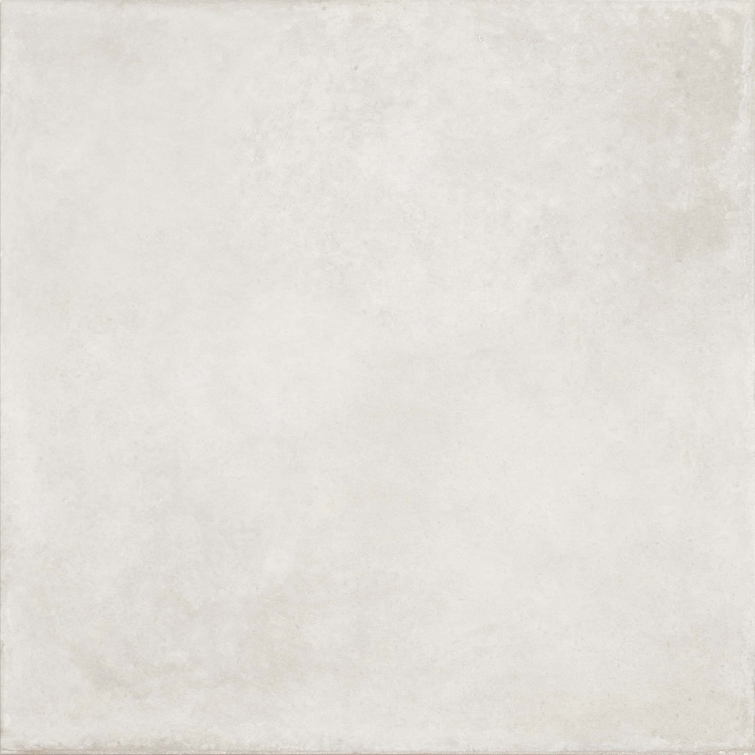 Frizo Bianco slab 60 X 60 CM 6