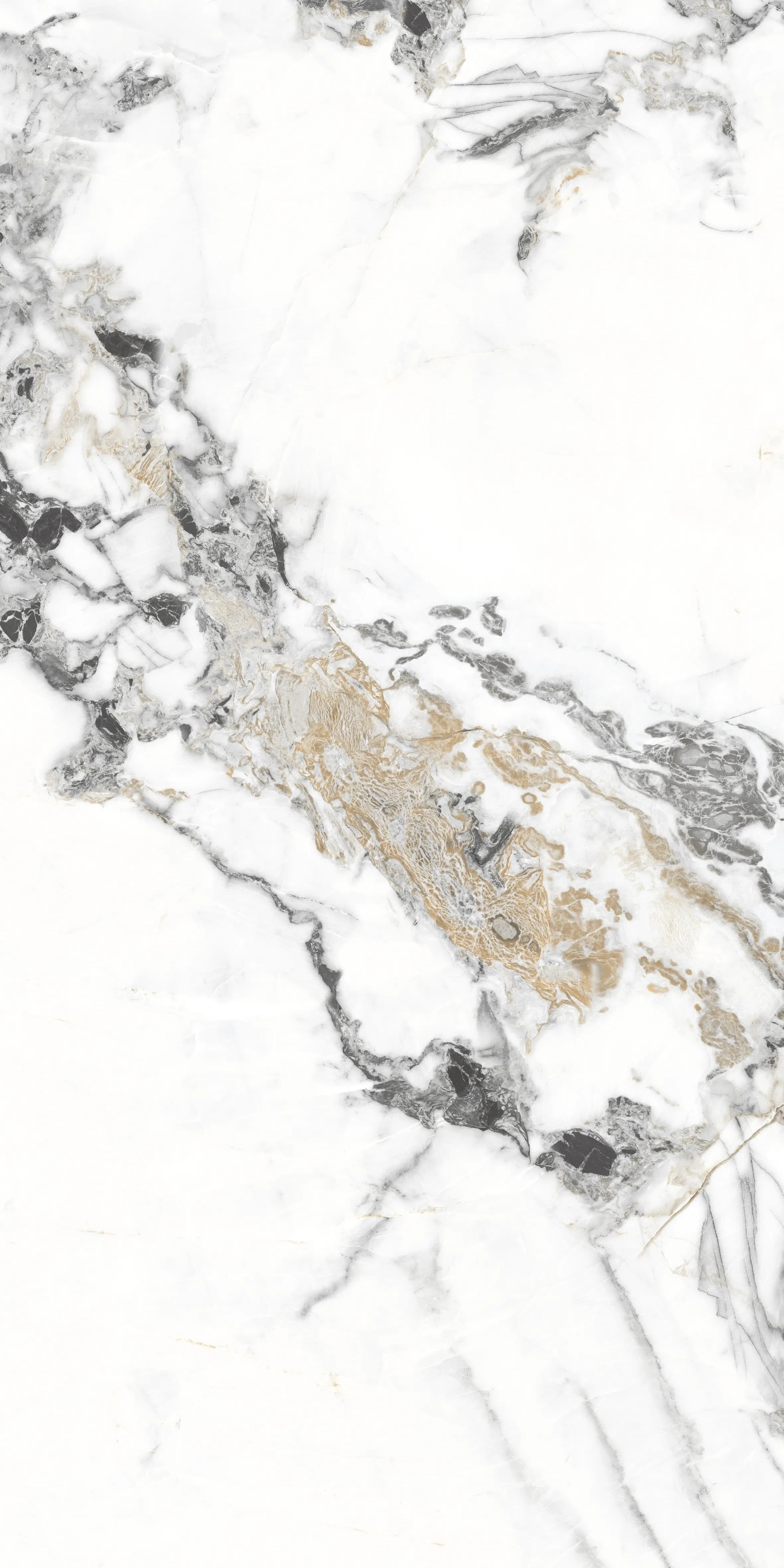 Tiziano Bianco slab 60 X 120 CM 1