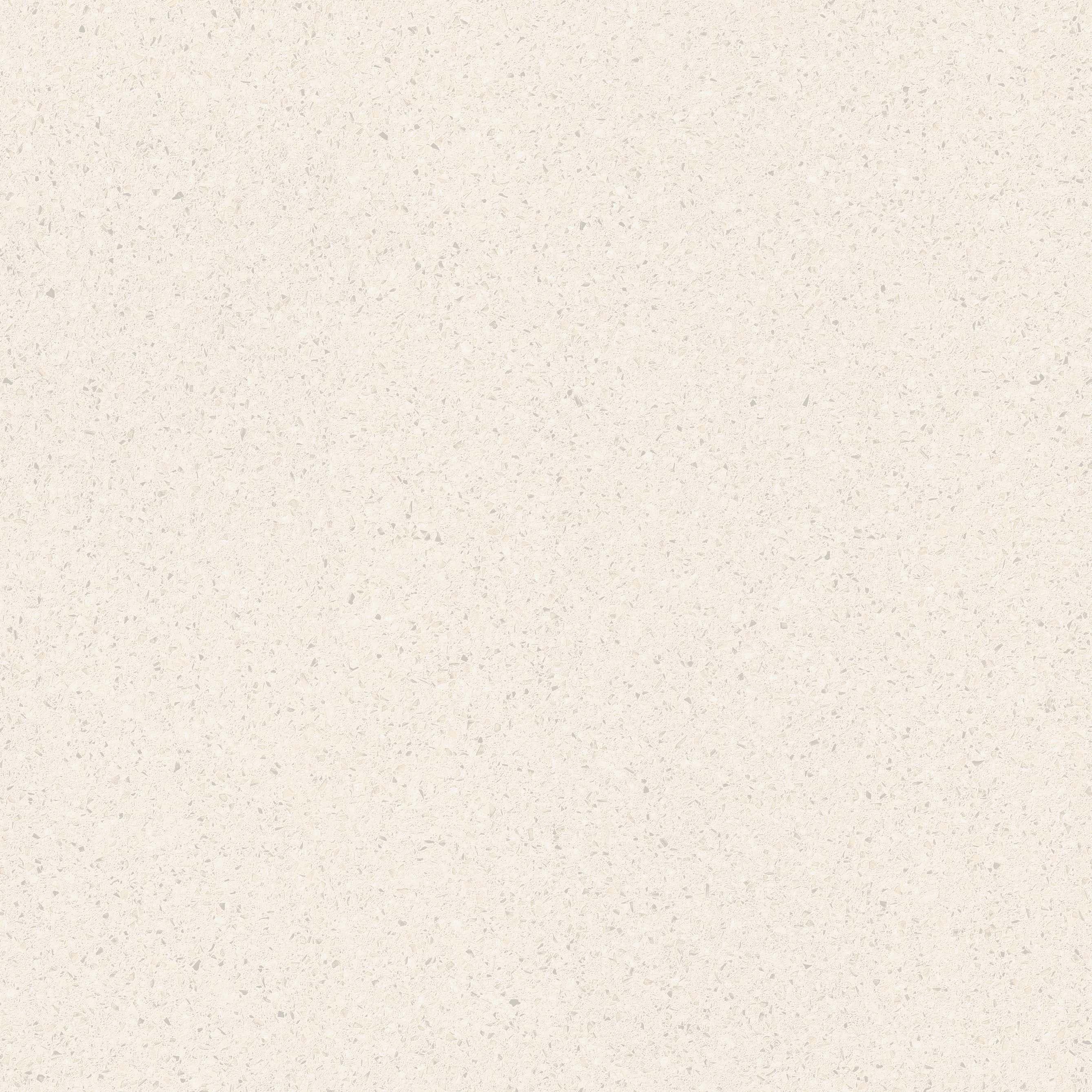 Granite Bianco slab 60 X 60 CM 3