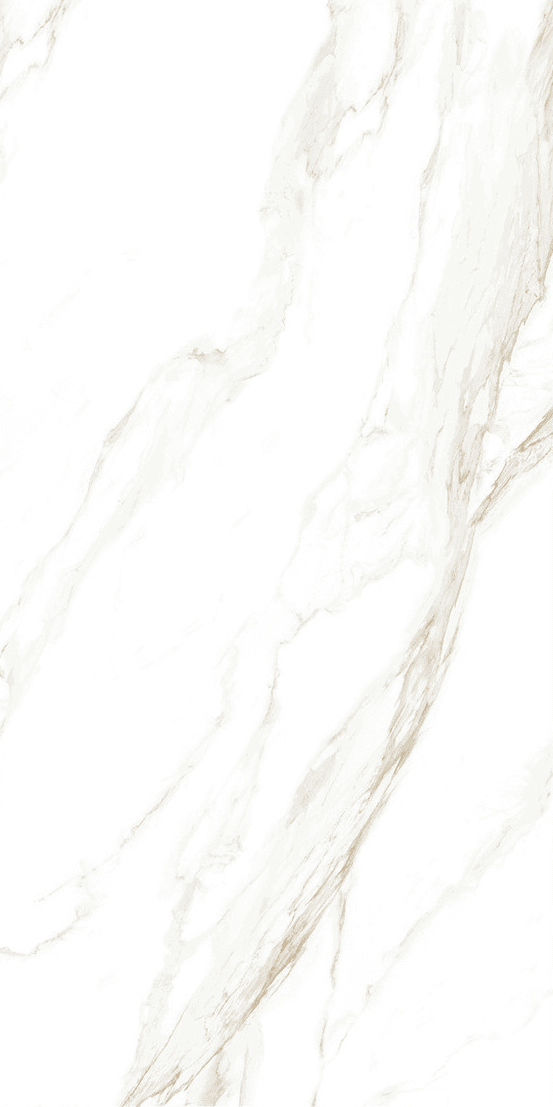 Davos Bianco slab 60 X 120 CM 3