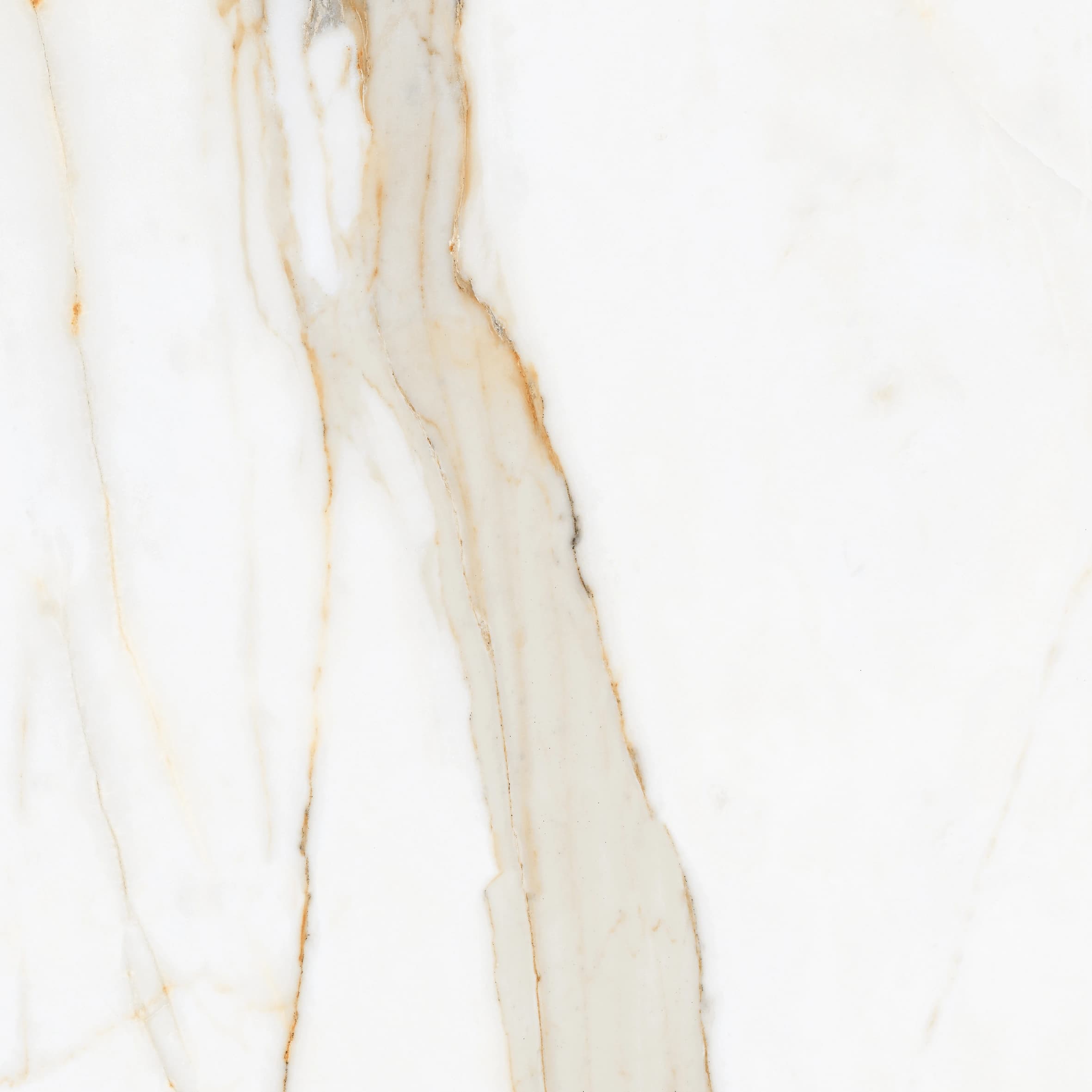 Calcutta Gold slab 60 X 60 CM 4