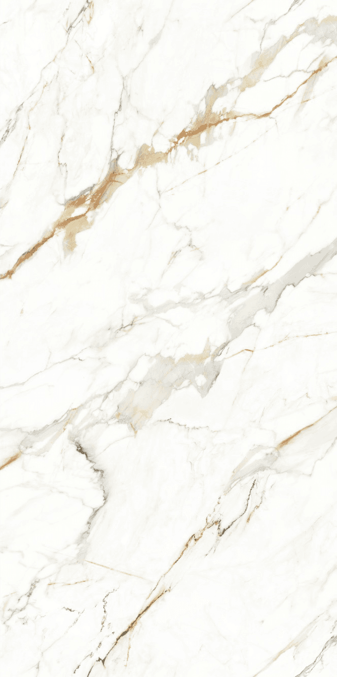 Bordeux Marble slab 120 X 240 CM 3
