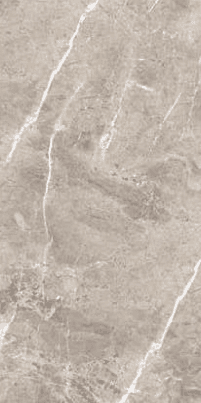 Ebony Dark Grey slab 60 X 120 CM 3