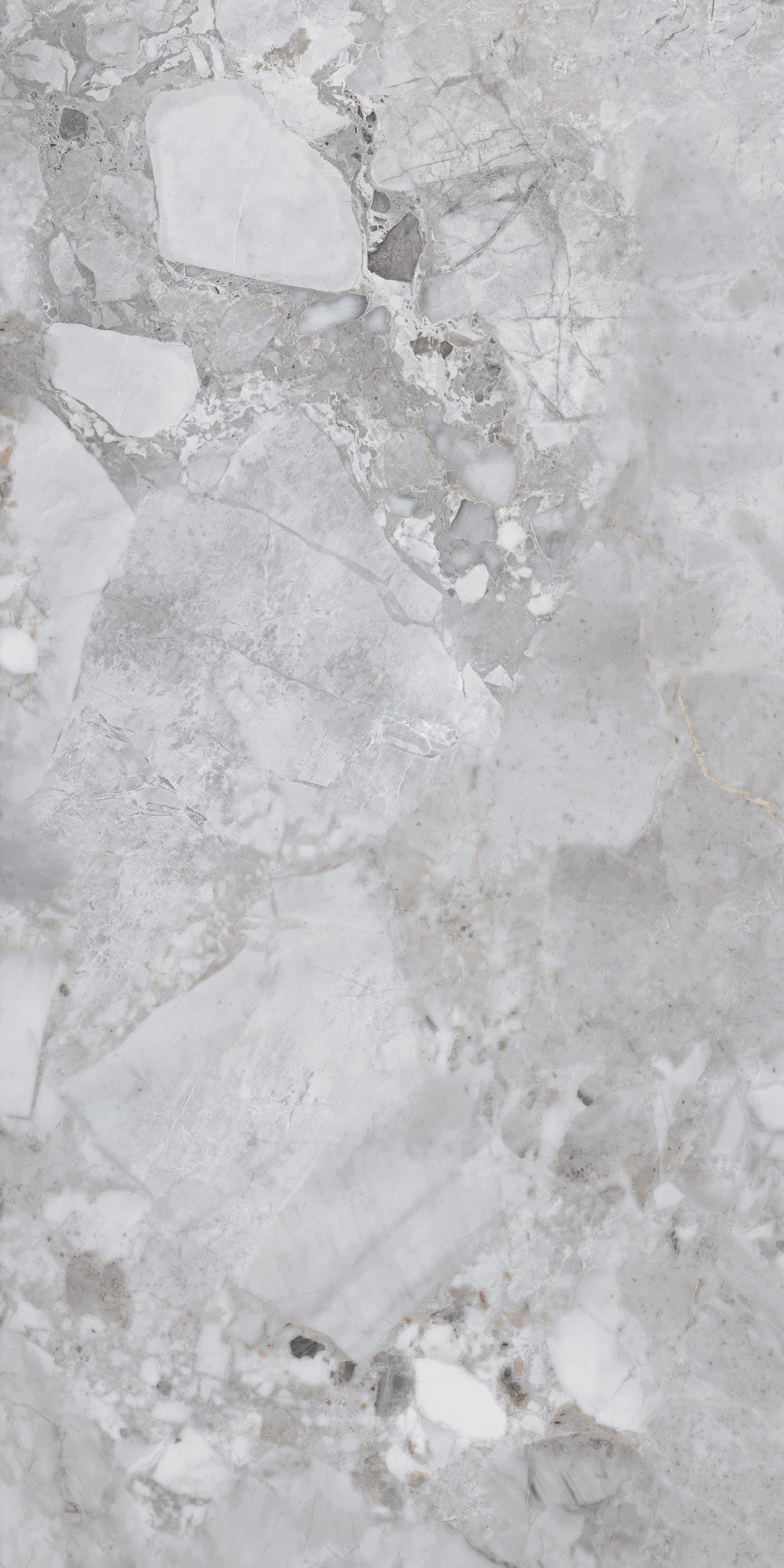 Ricardo Grey slab 60 X 120 CM 6