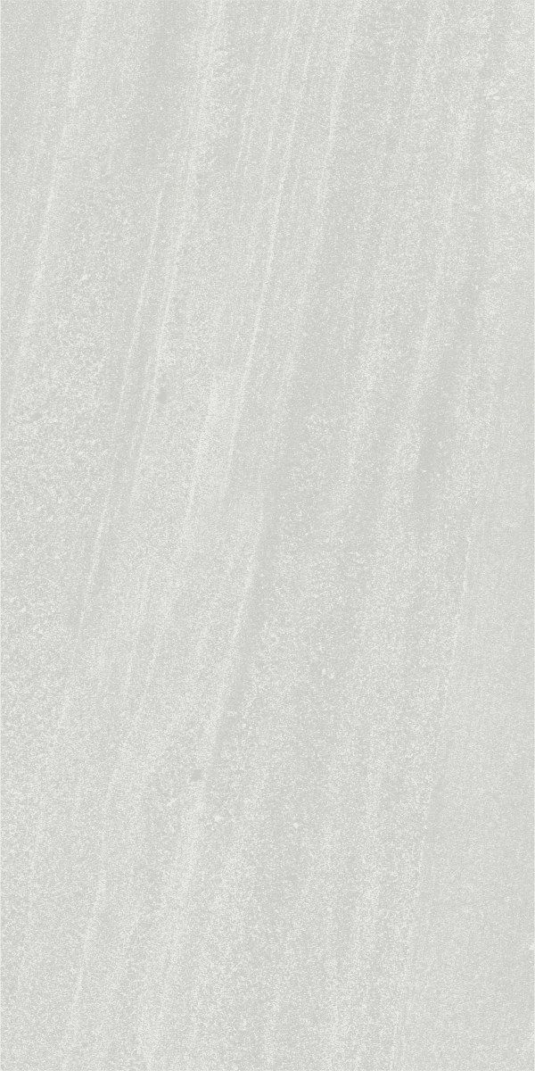 Veneto Cenere slab 60 X 120 CM 4