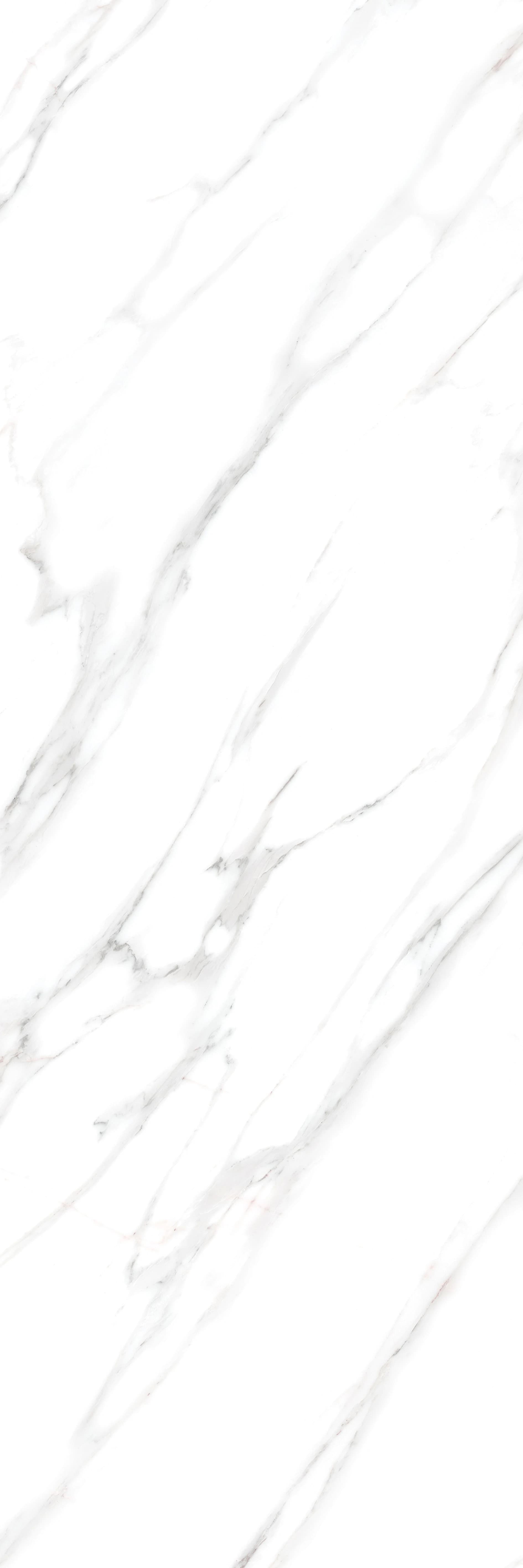 Alessio Bianco slab 80 X 240 CM 2