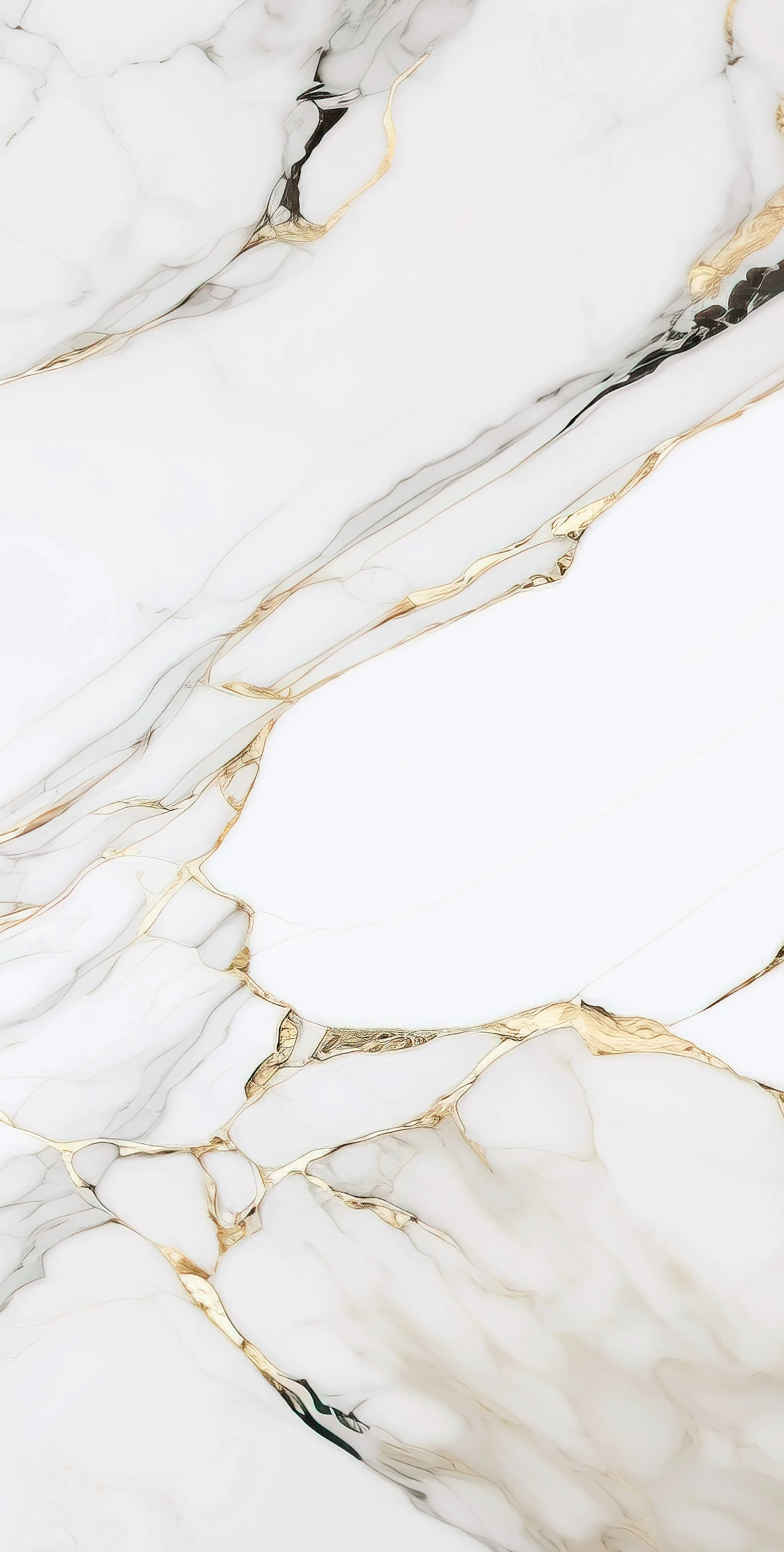 Colton Bianco slab 60 X 120 CM 3