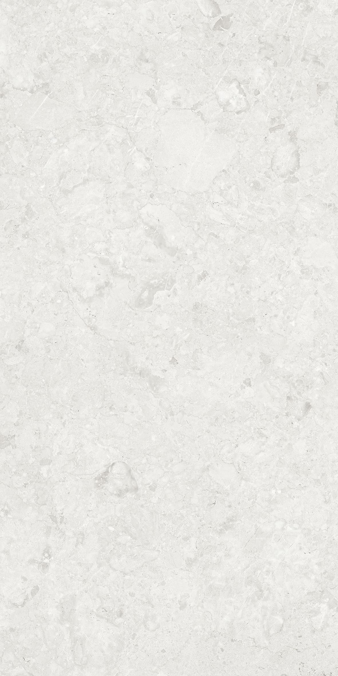 Perugia Light Grey slab 60 X 120 CM 1