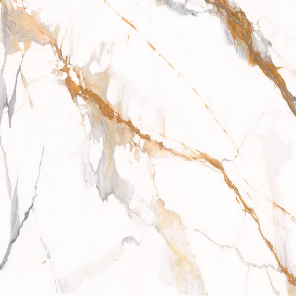 Scepter Gold slab 60 X 60 CM 3