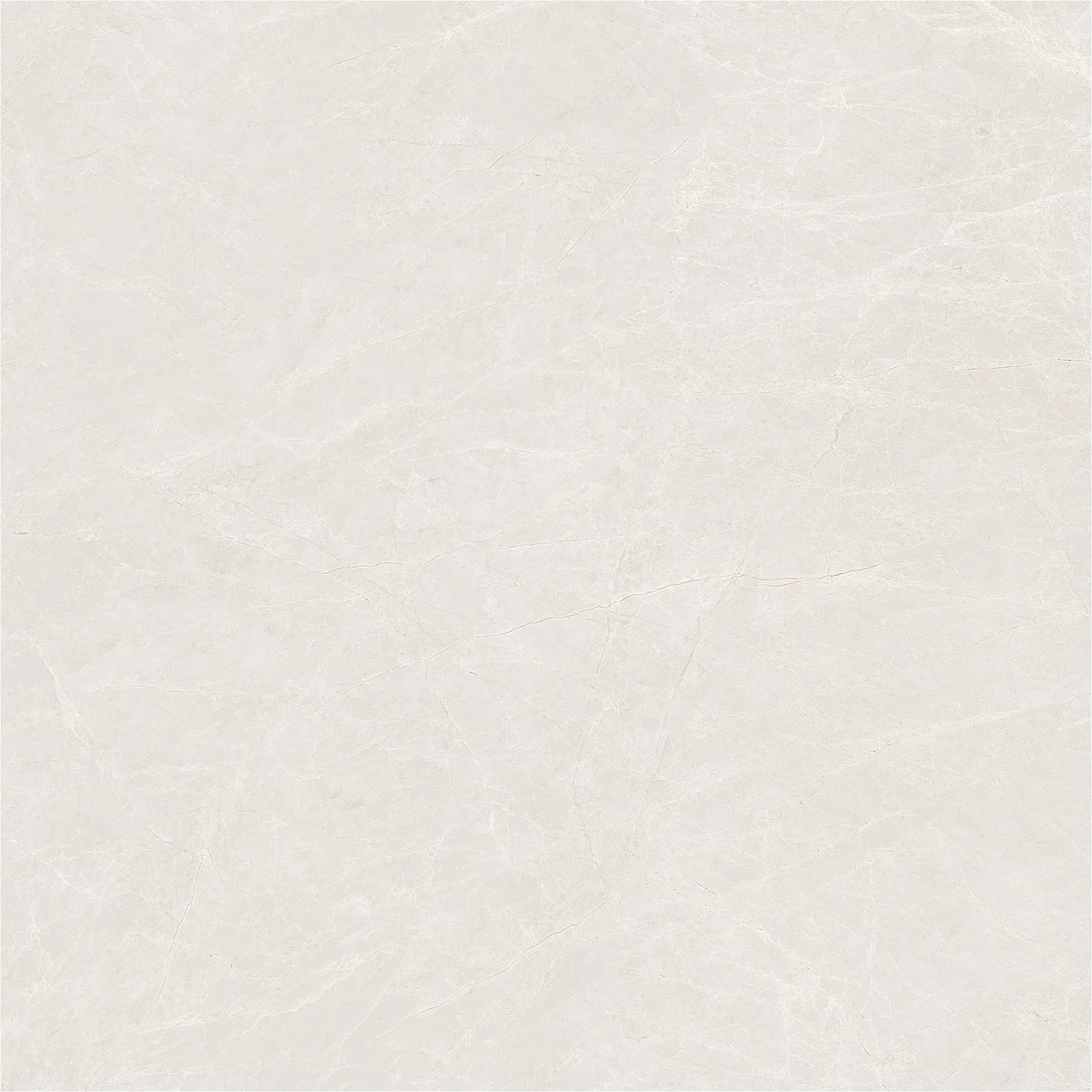 Emperador Beige slab 80 X 80 CM 1