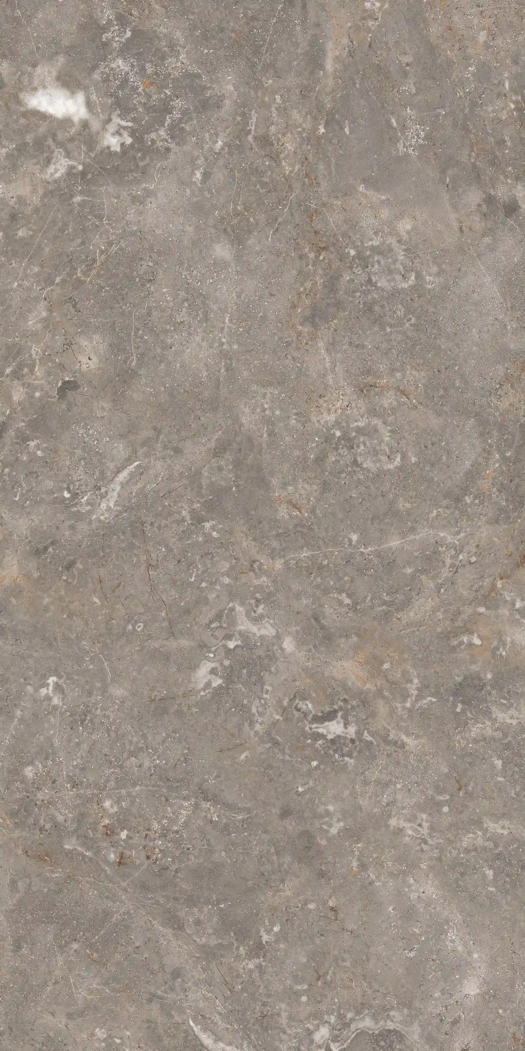 Aldo Grey slab 60 X 120 CM 7