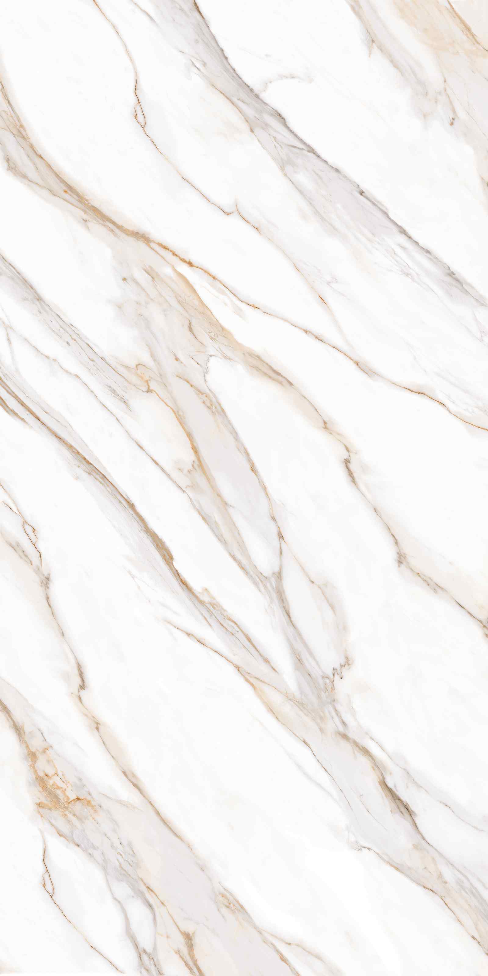 Palma Gold slab 160 X 320 CM 2