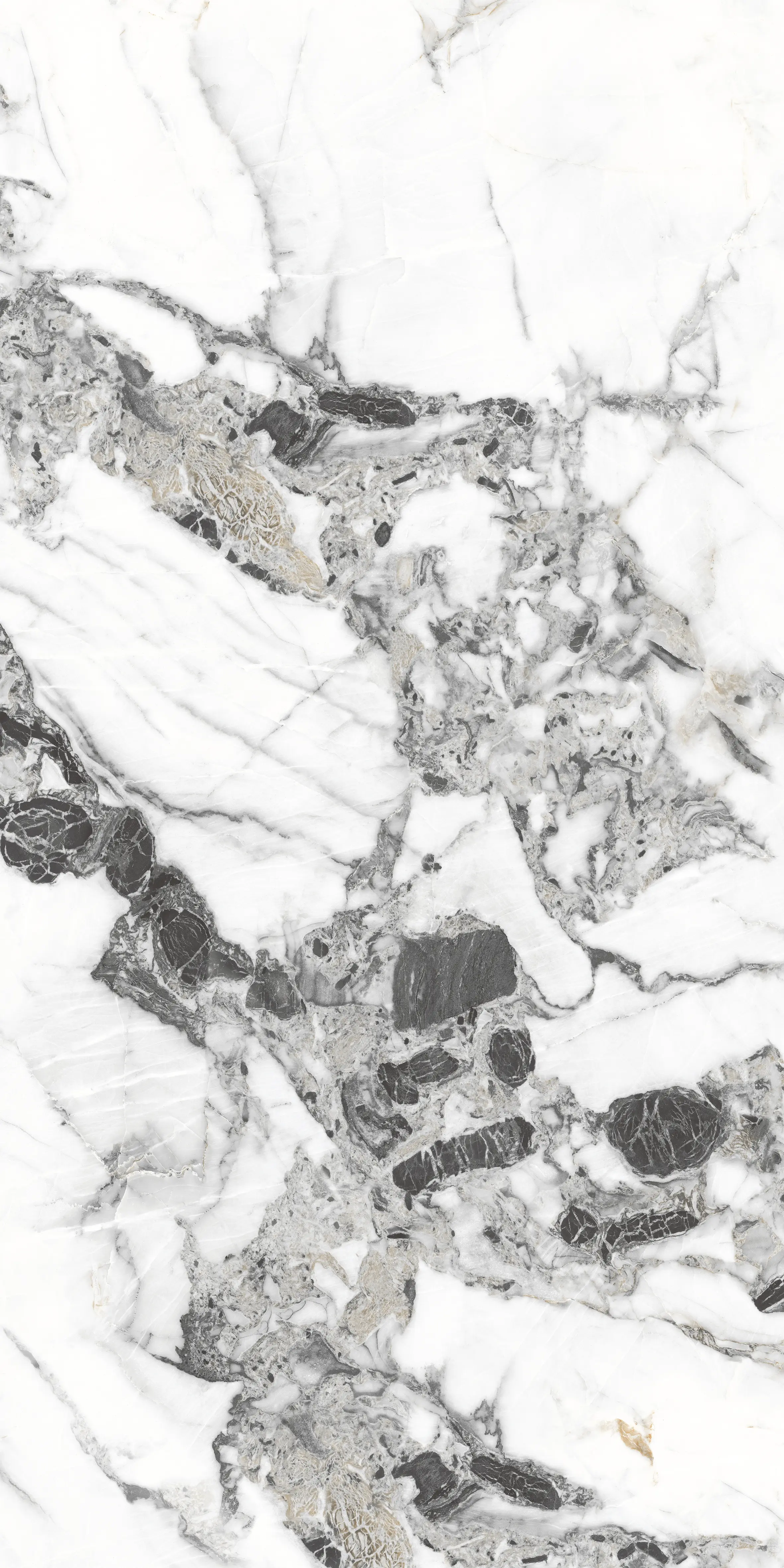 Tiziano Bianco slab 60 X 120 CM 6