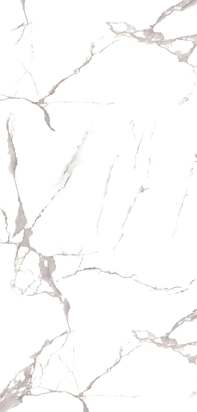 Statuario Grey slab 120 X 60 CM 3