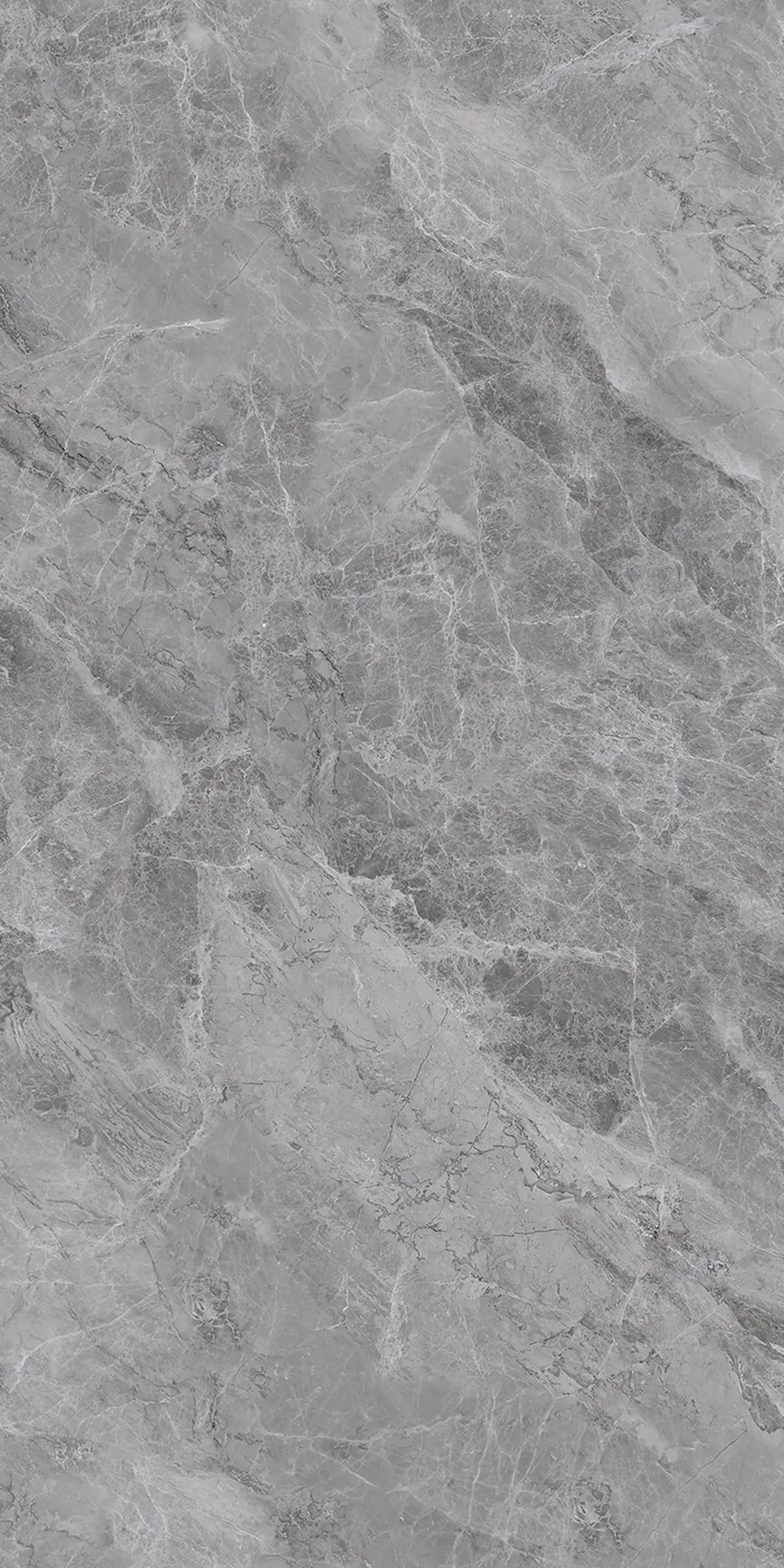 Alexandria Grey slab 120 X 240 CM 1