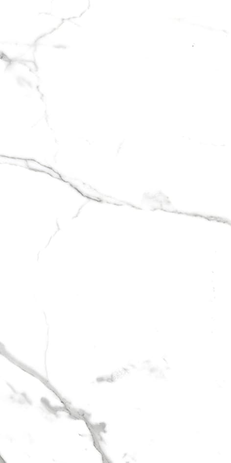 Savio Carrara slab 120 X 240 CM | 90 X 180 CM 2