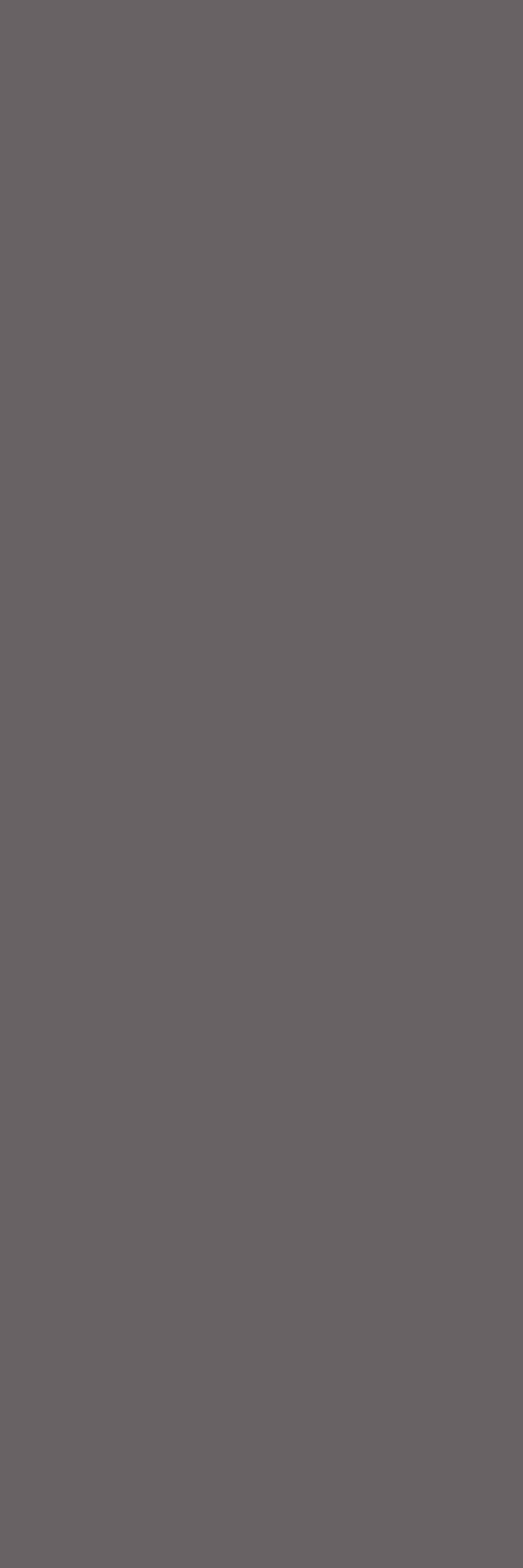 Guilio Grey slab 80 X 240 CM 1