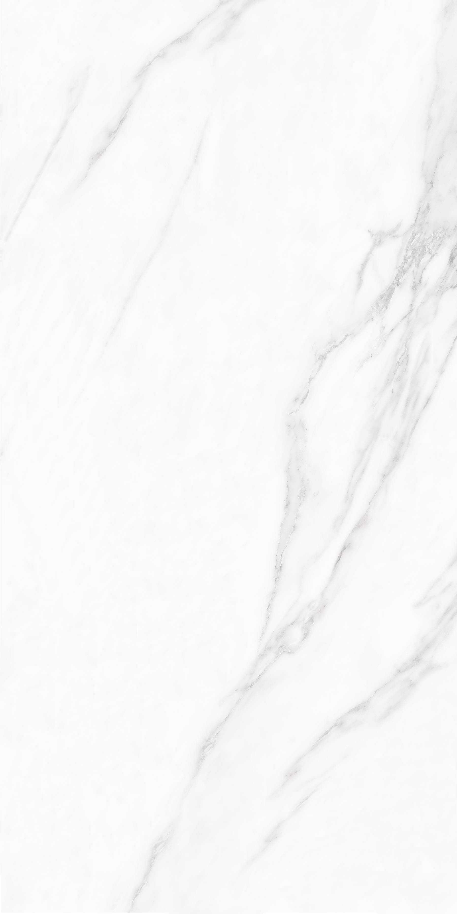 Arctic Statuario - 4