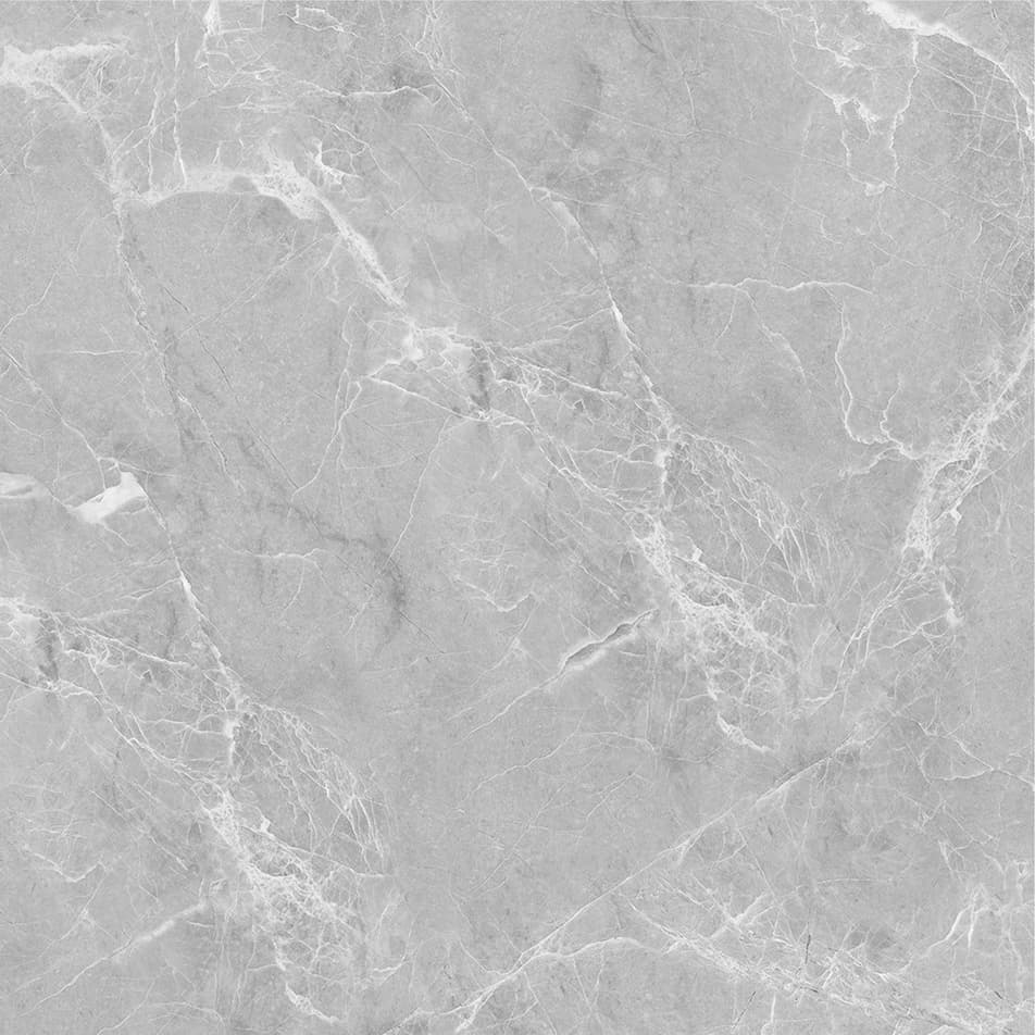 Regal Grey slab 60 X 60 CM 3