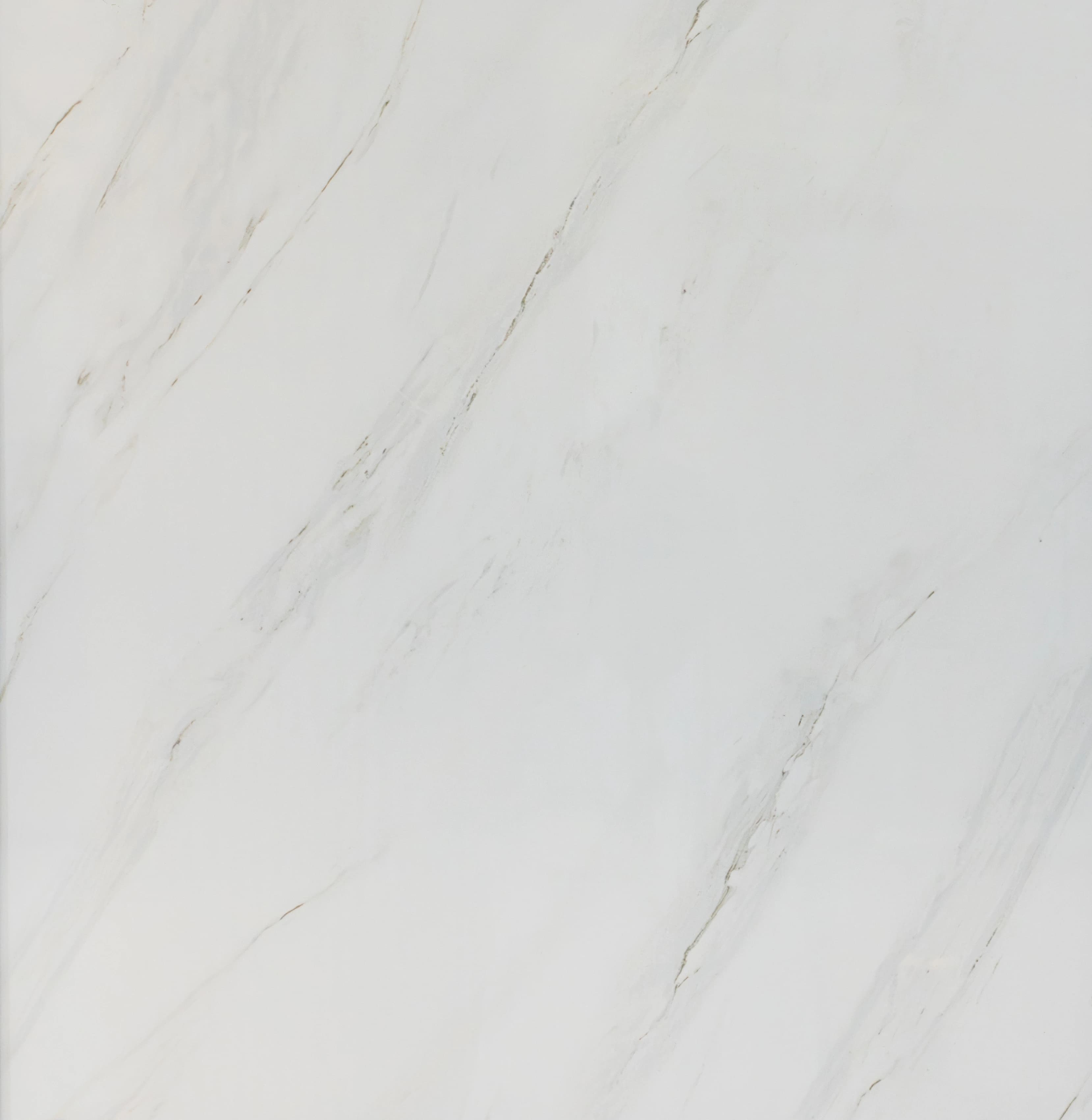 Howlite Bianco slab 80 X 80 CM | 60 X 60 CM 1