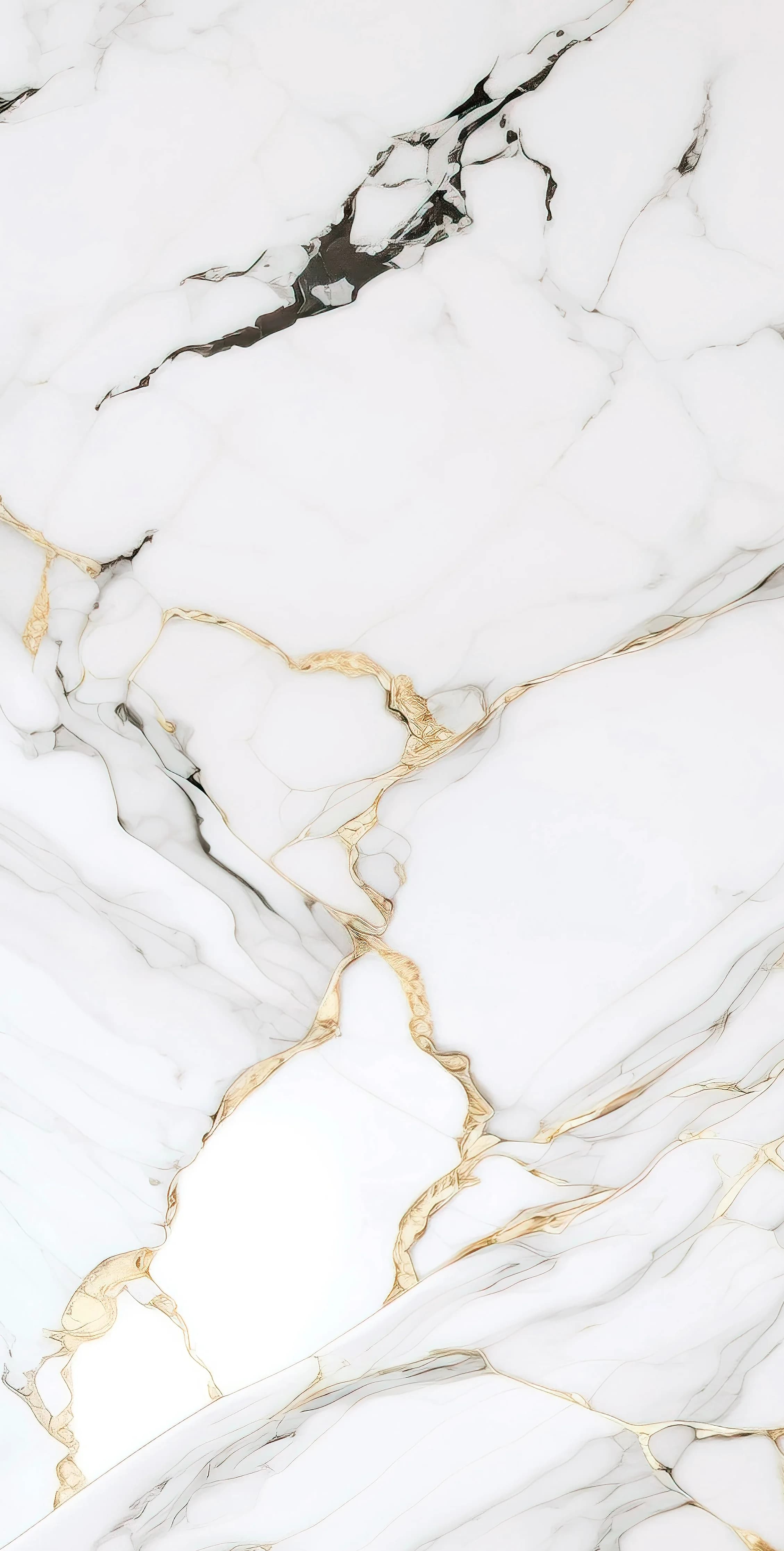 Colton Bianco slab 60 X 120 CM 2
