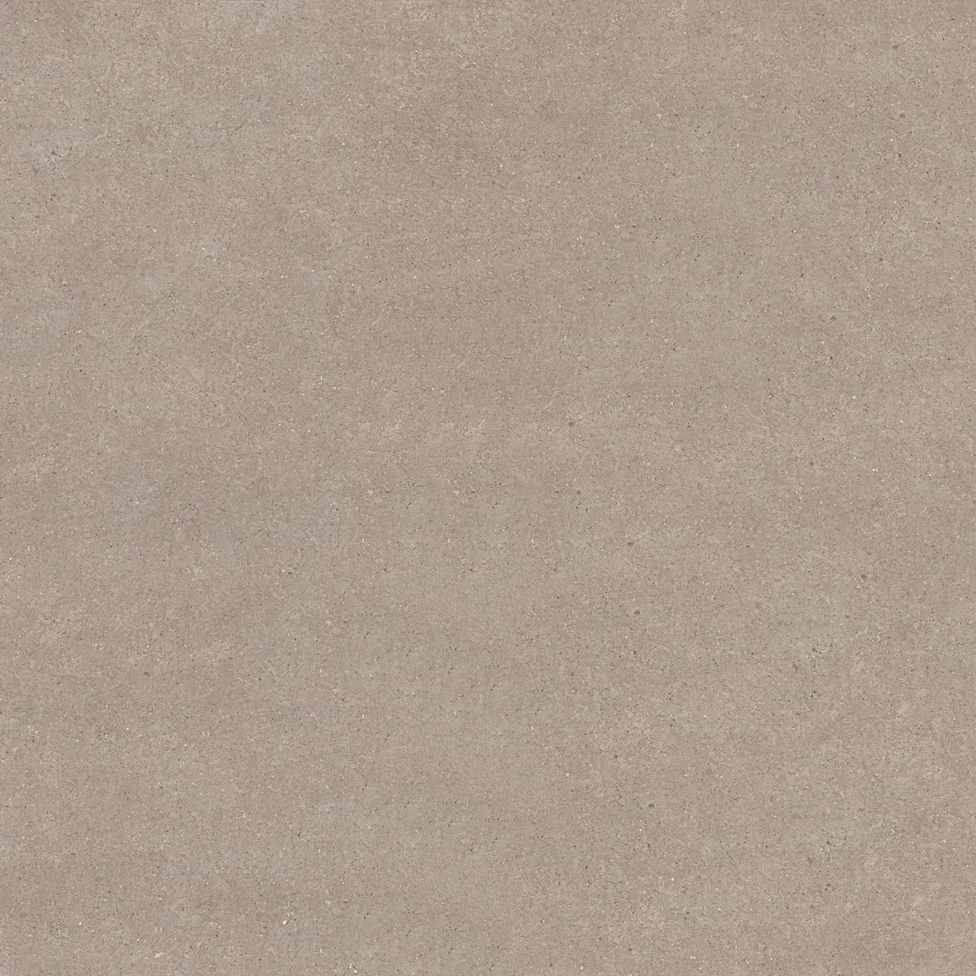 Lyra Dark Grey slab 60 X 60 CM 3