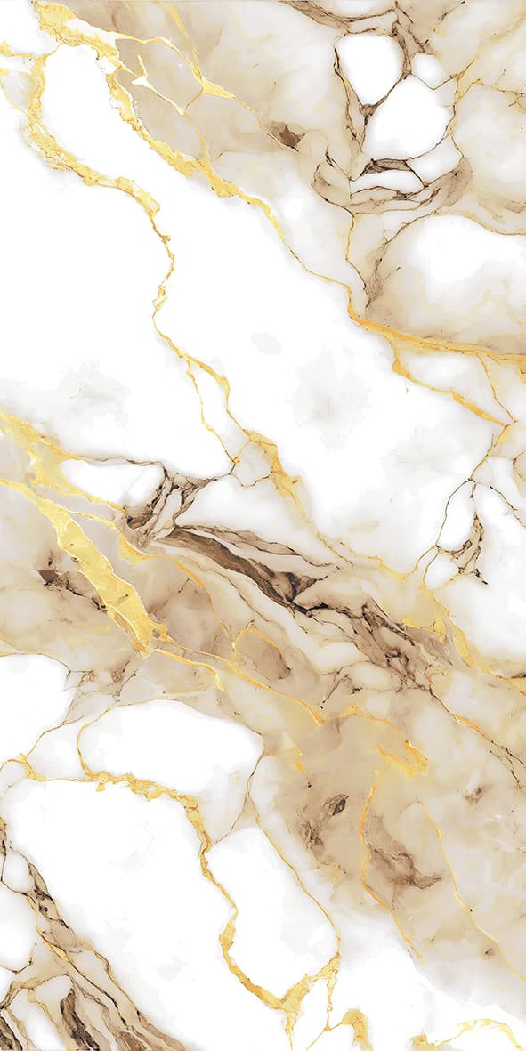 Cosmo Brown slab 60 X 120 CM 3