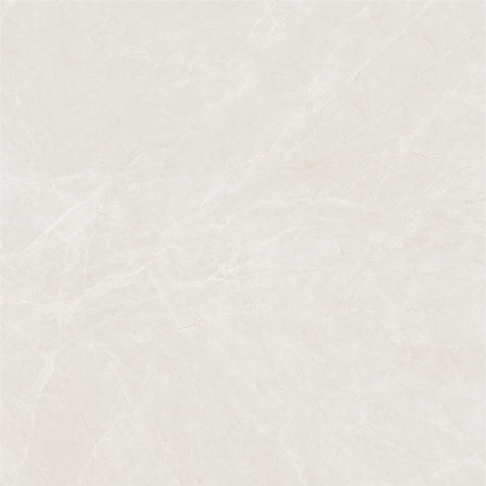 Emperador Beige slab 80 X 80 CM 3