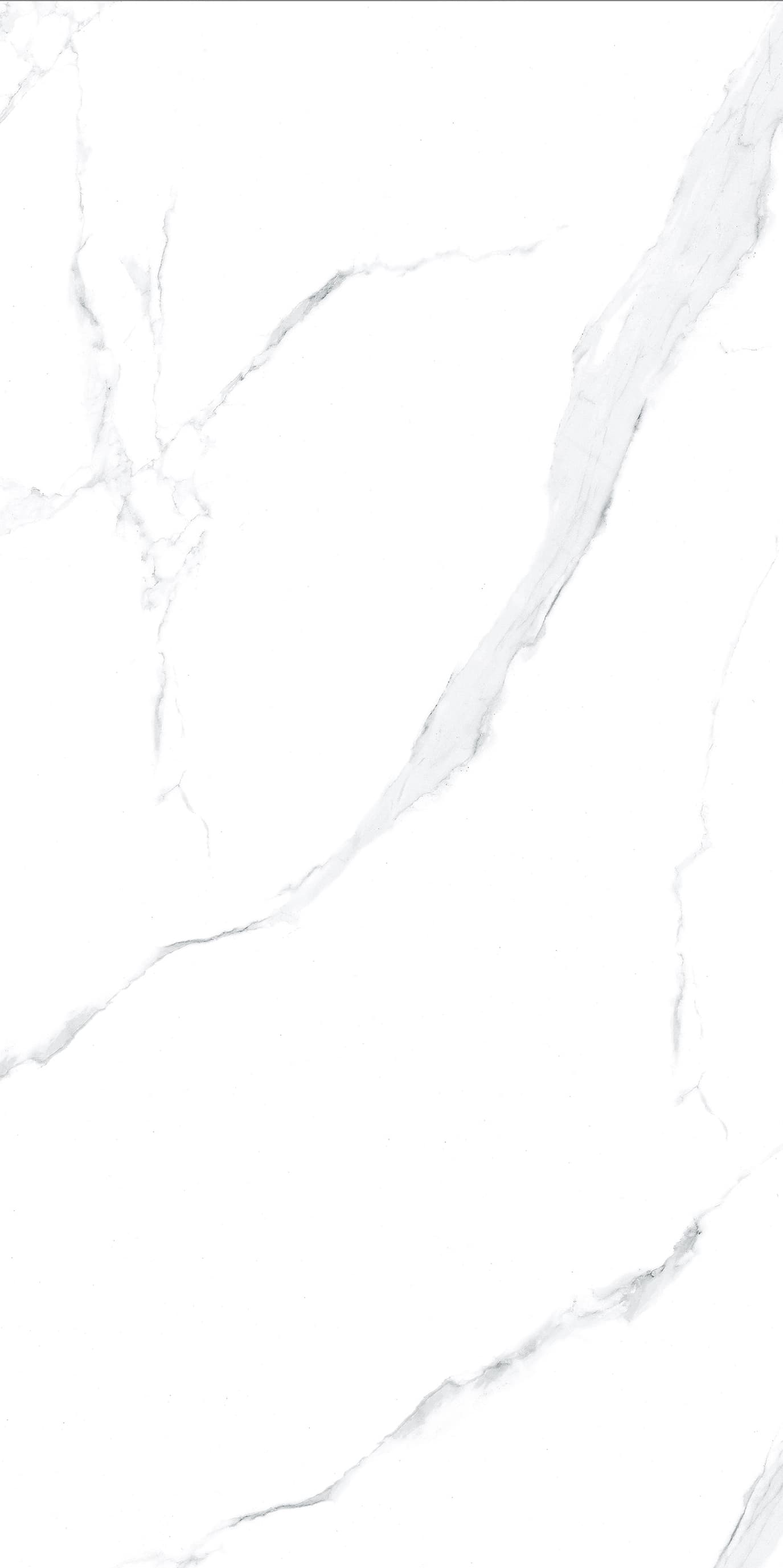 Vena Bianco - 11