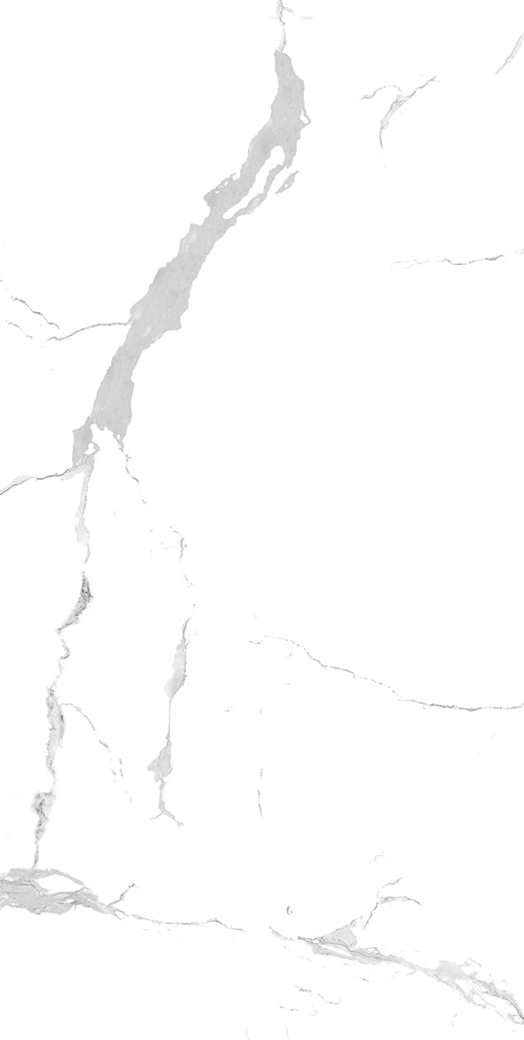 Arabescato Marble slab 60 X 120 CM 1