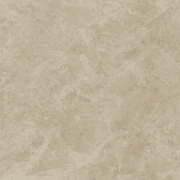 Terra Beige slab 60 X 60 CM 4