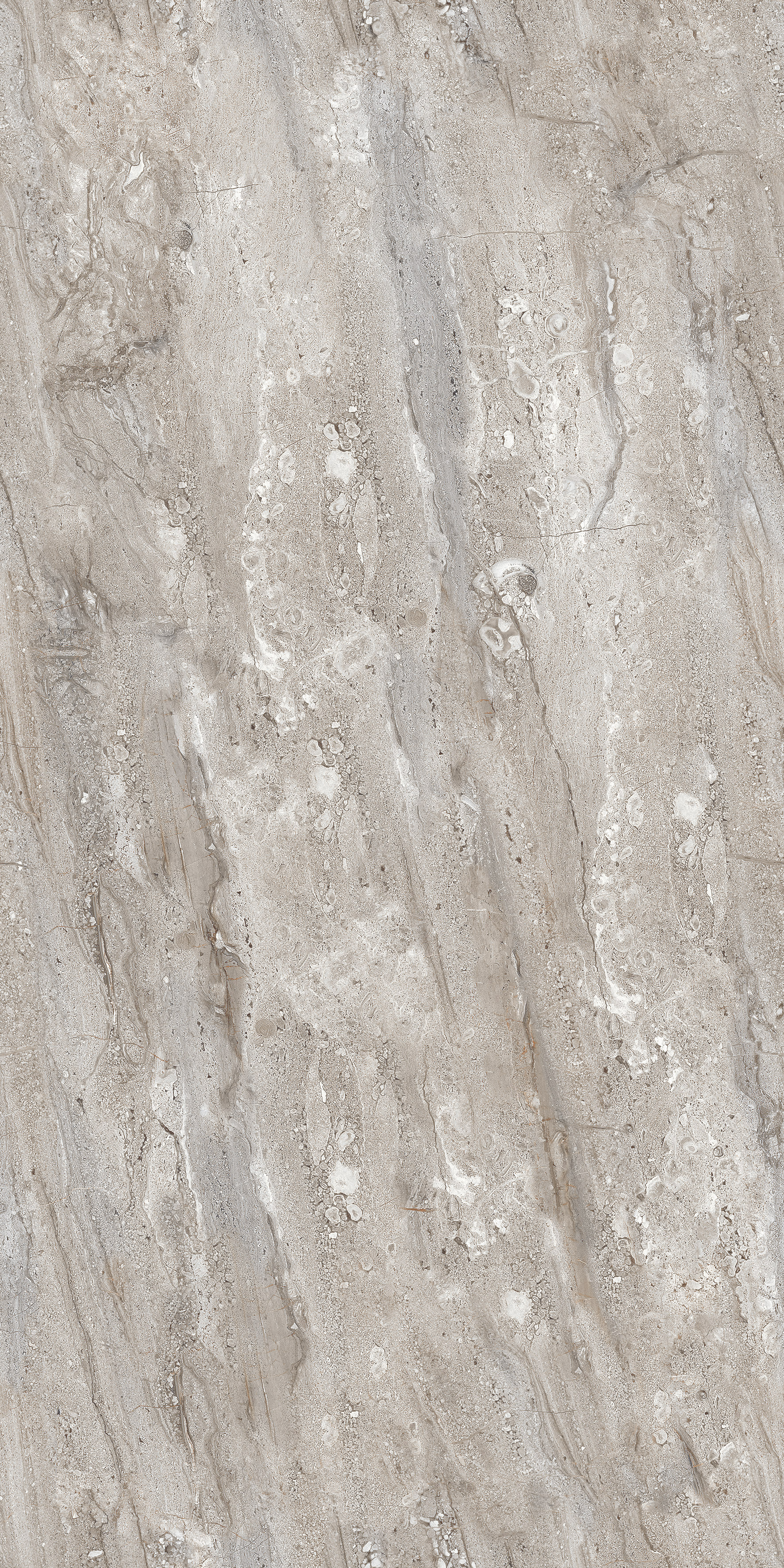 Gobi Grey slab 60 X 120 CM 4
