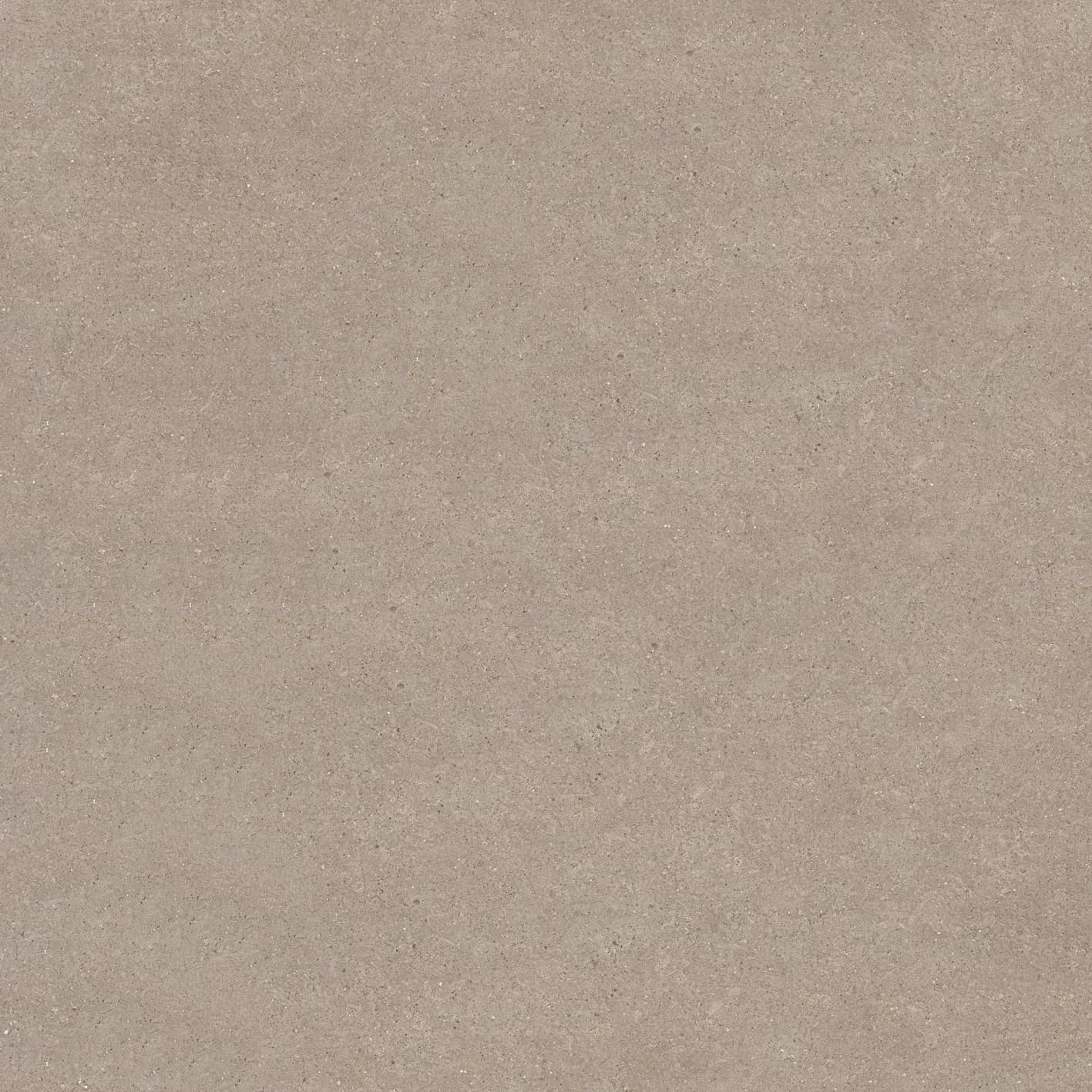 Lyra Dark Grey slab 60 X 60 CM 4