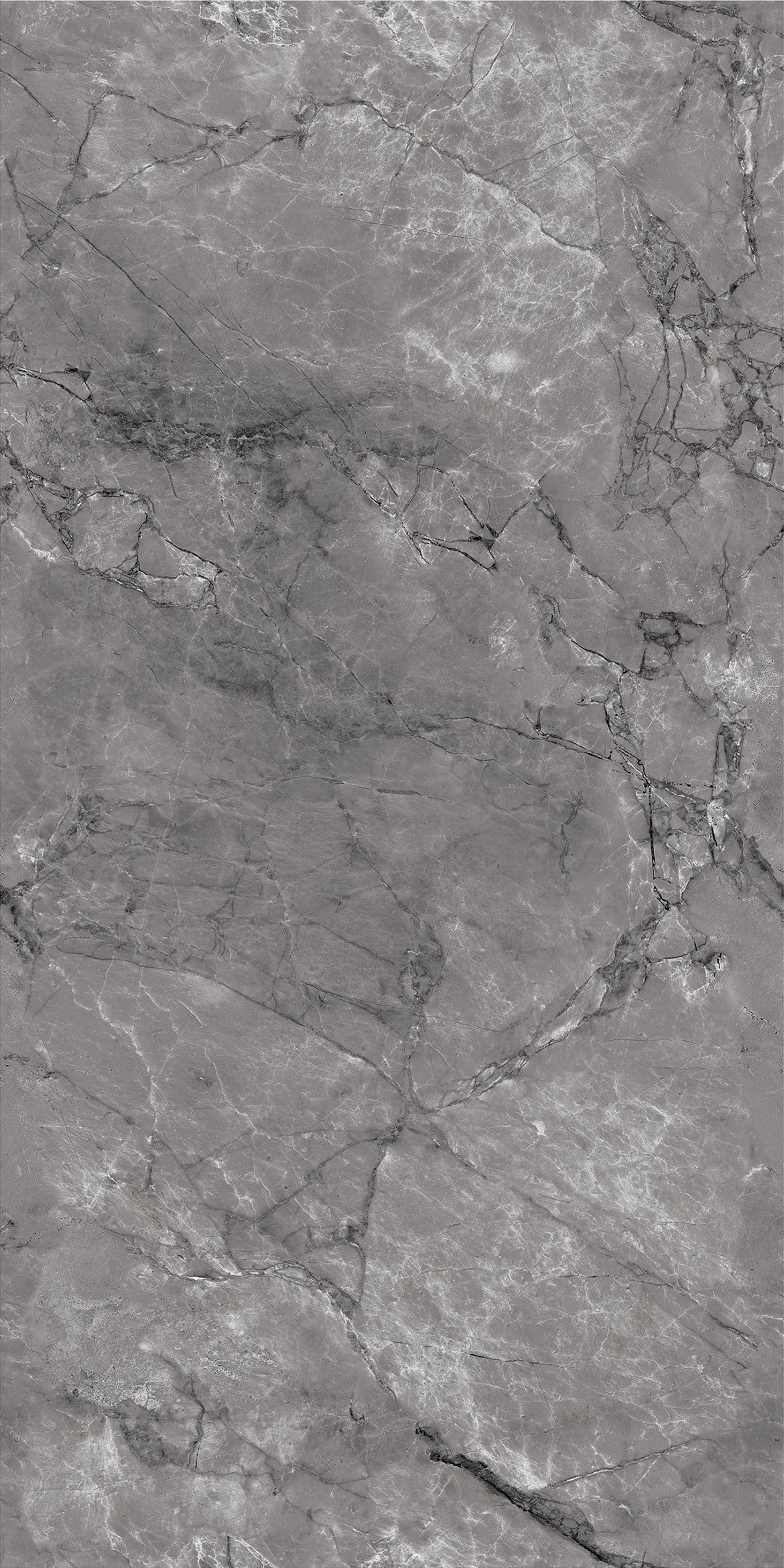 Gambia Dark Grey slab 60 X 120 CM 5
