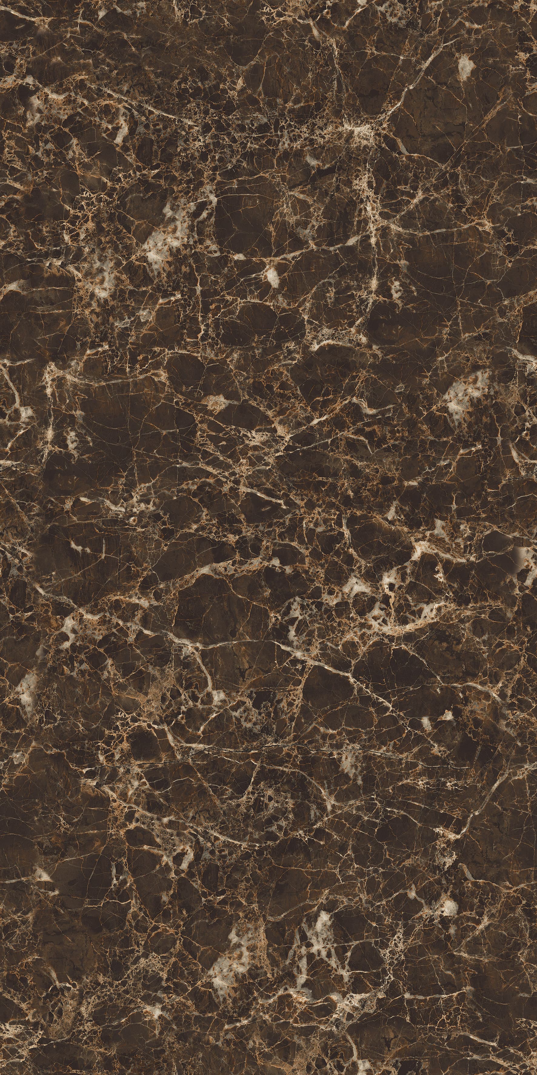 Demian Brown slab 60 X 120 CM 4