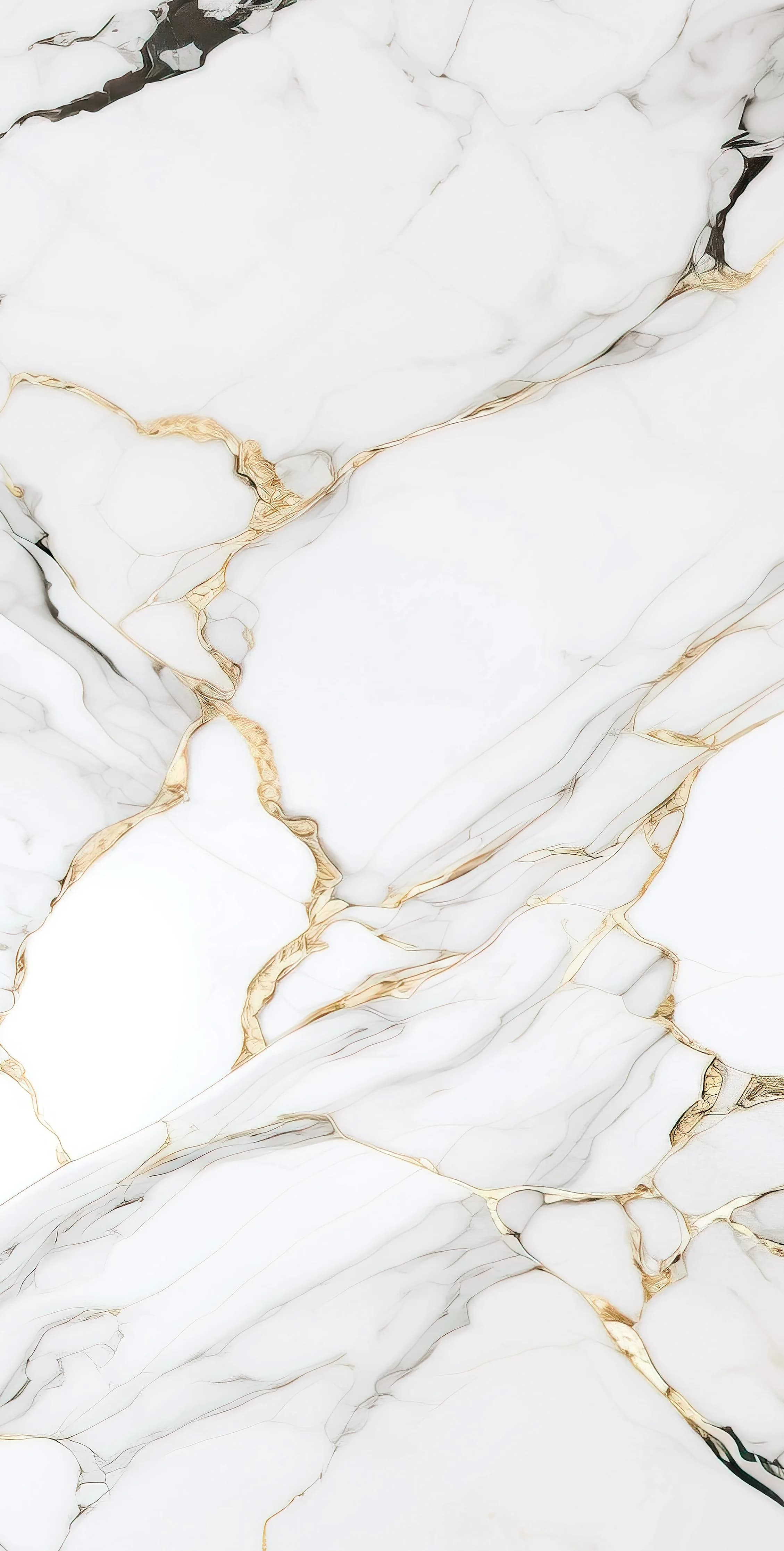 Colton Bianco slab 60 X 120 CM 1