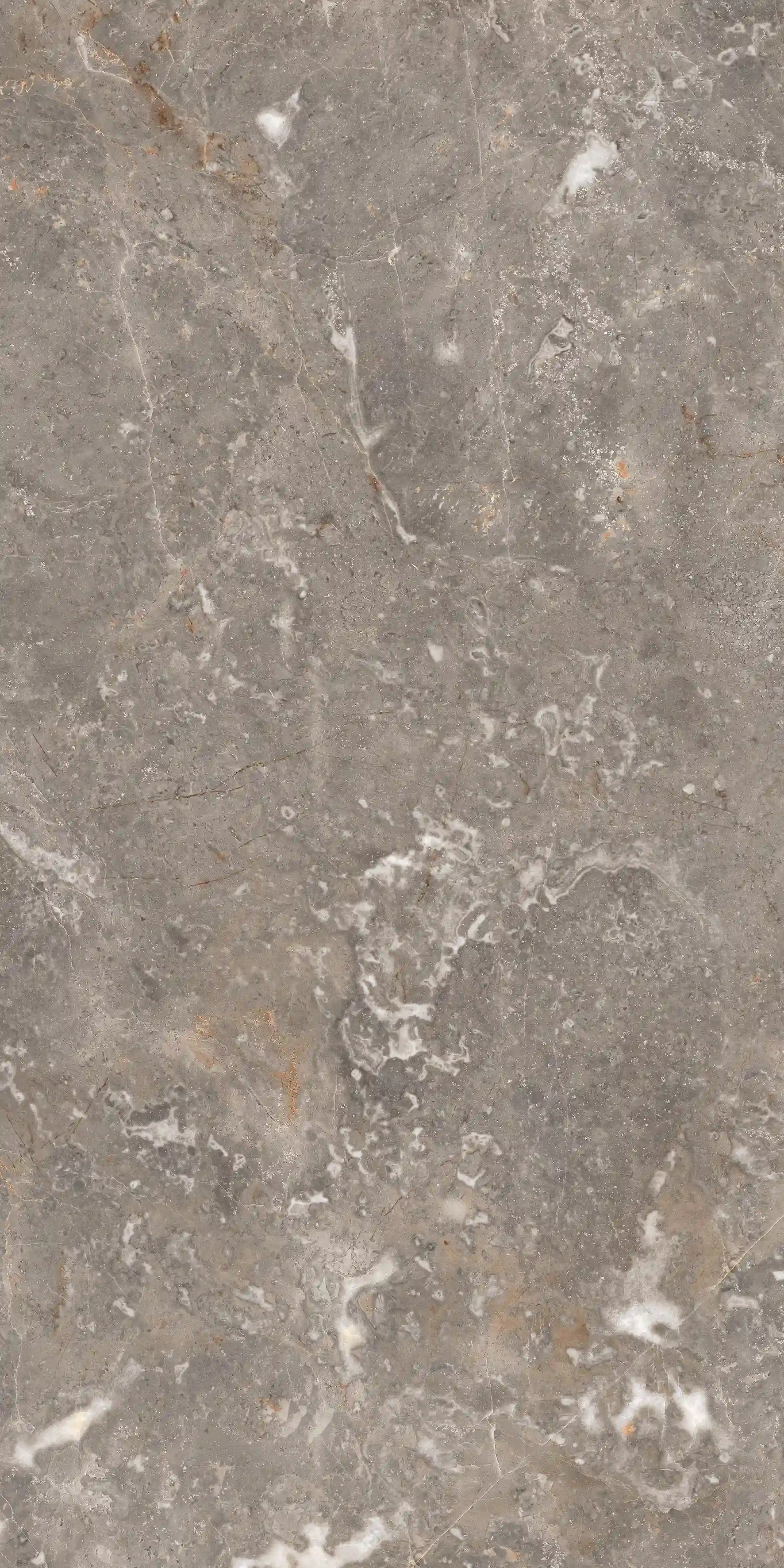 Aldo Grey slab 60 X 120 CM 2