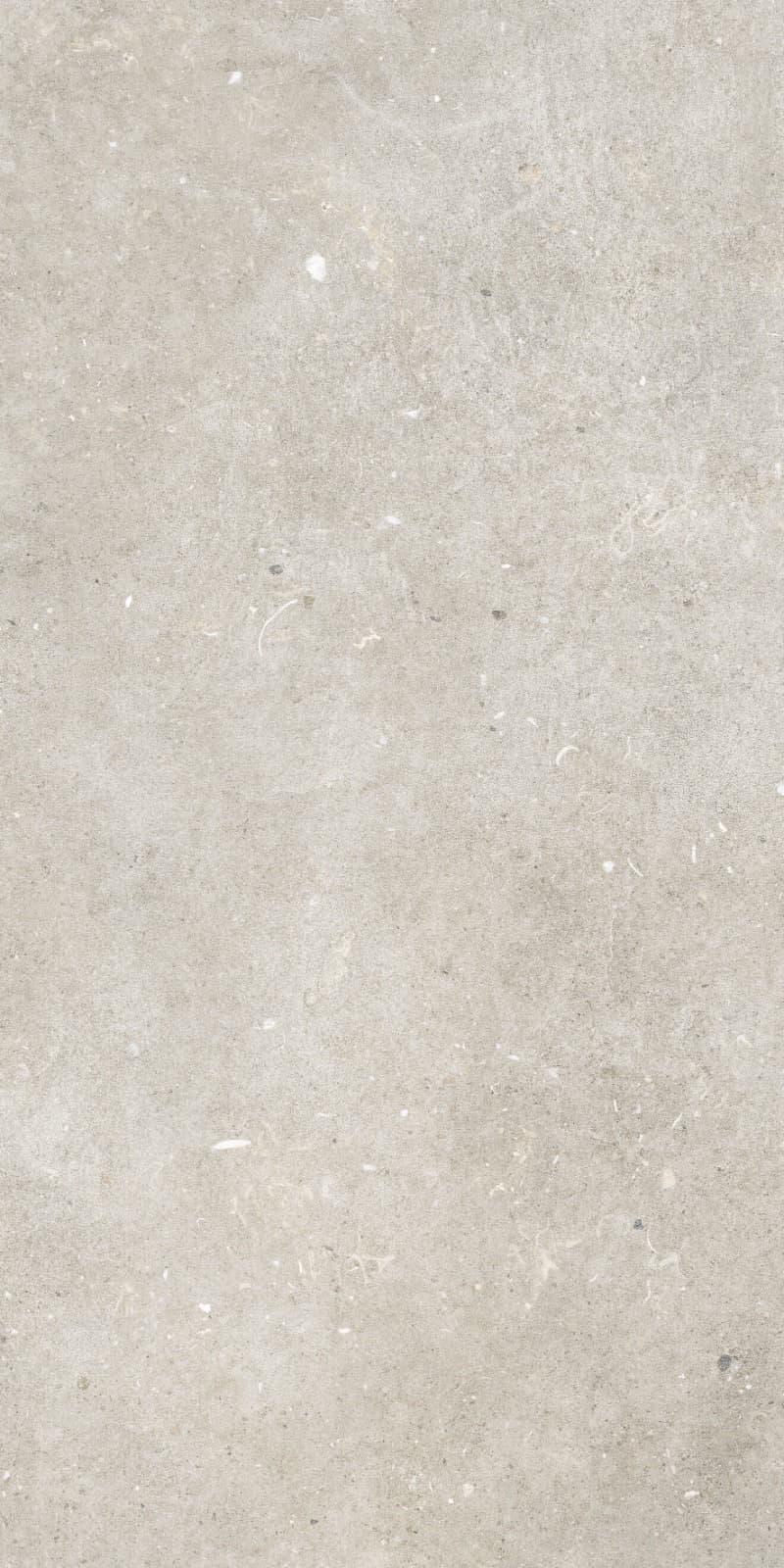 Willow Grey slab 60 X 120 CM 1