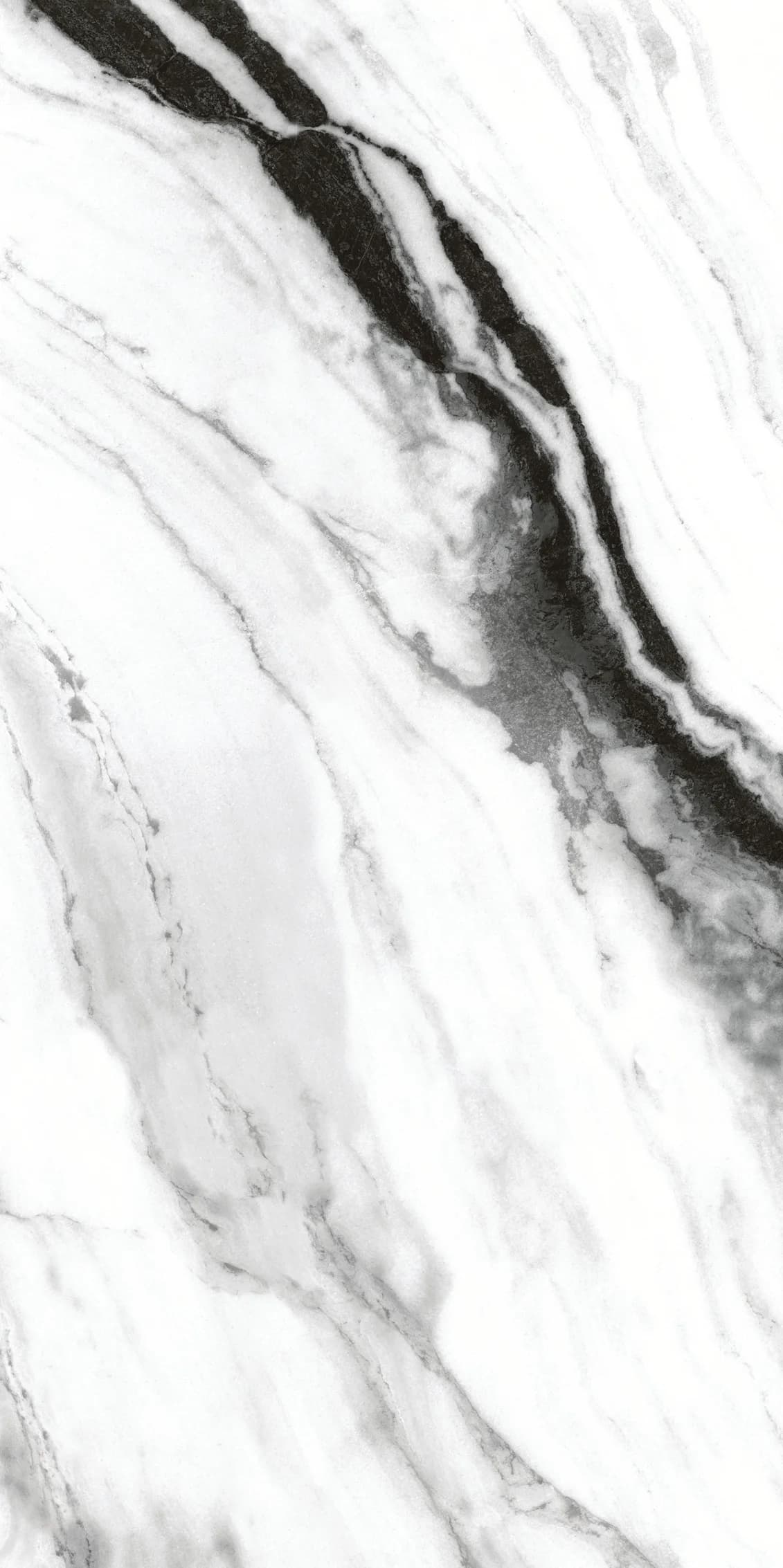 Carrara Nero slab 60 X 120 CM 3