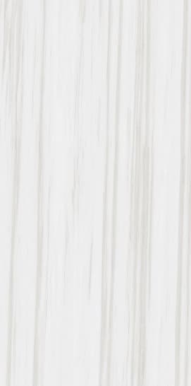 Bianco Andes slab 60 X 120 CM 2