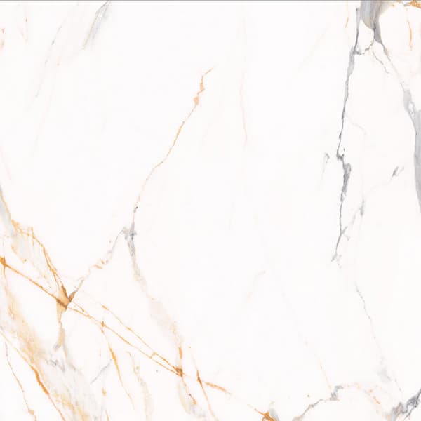Scepter Gold slab 60 X 60 CM 6