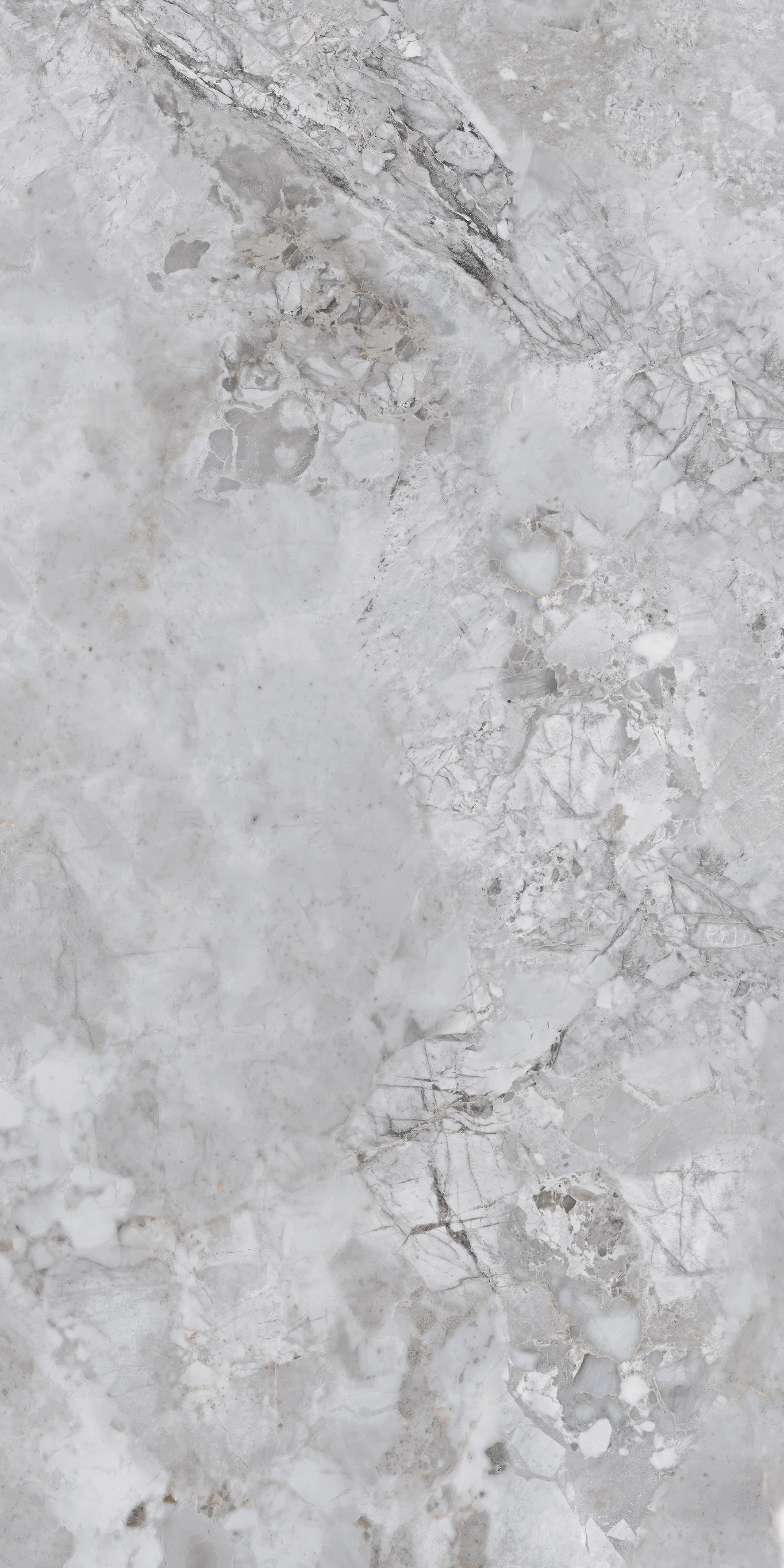 Ricardo Grey slab 60 X 120 CM 1