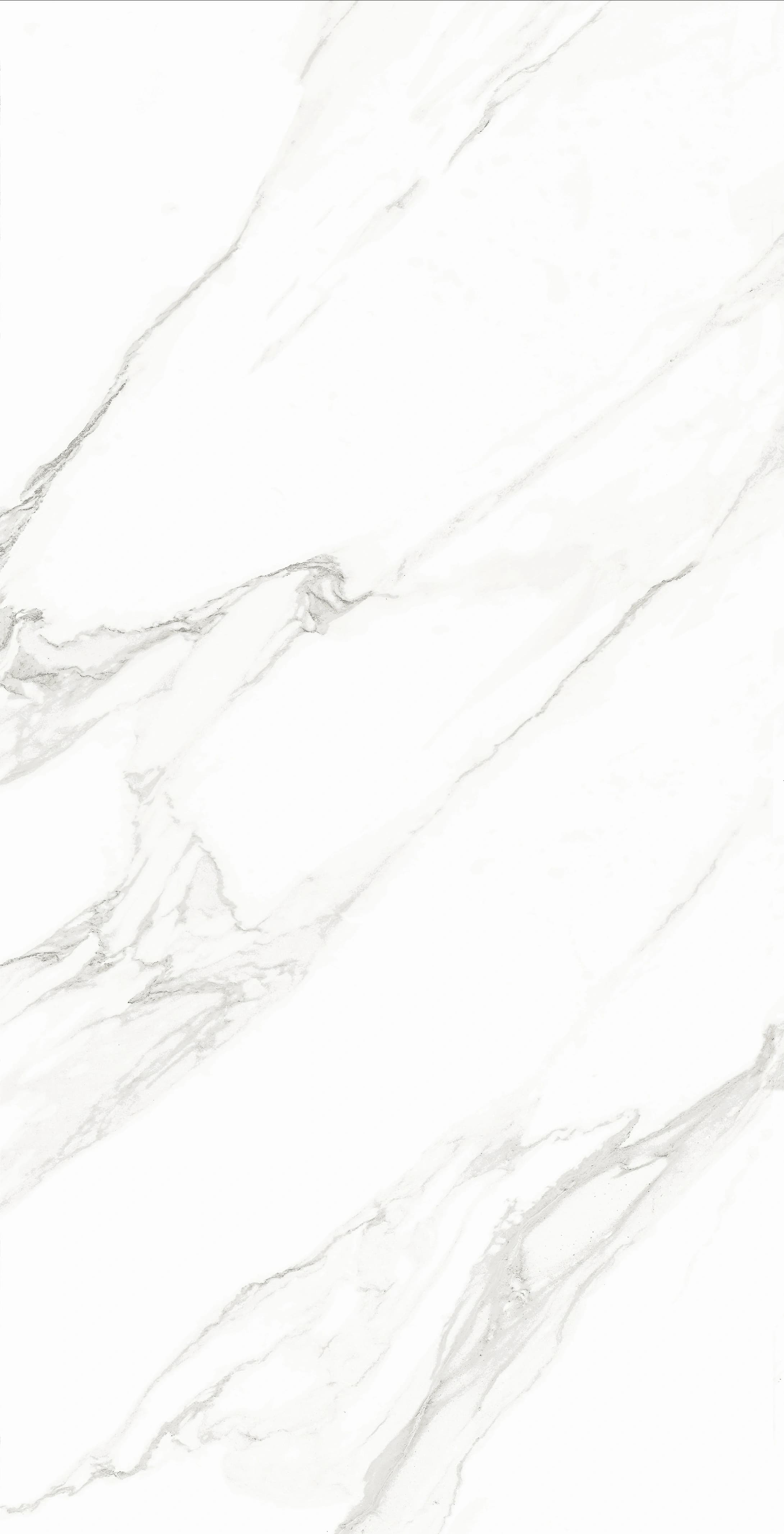 Classico Statuario slab 60 X 120 CM 2