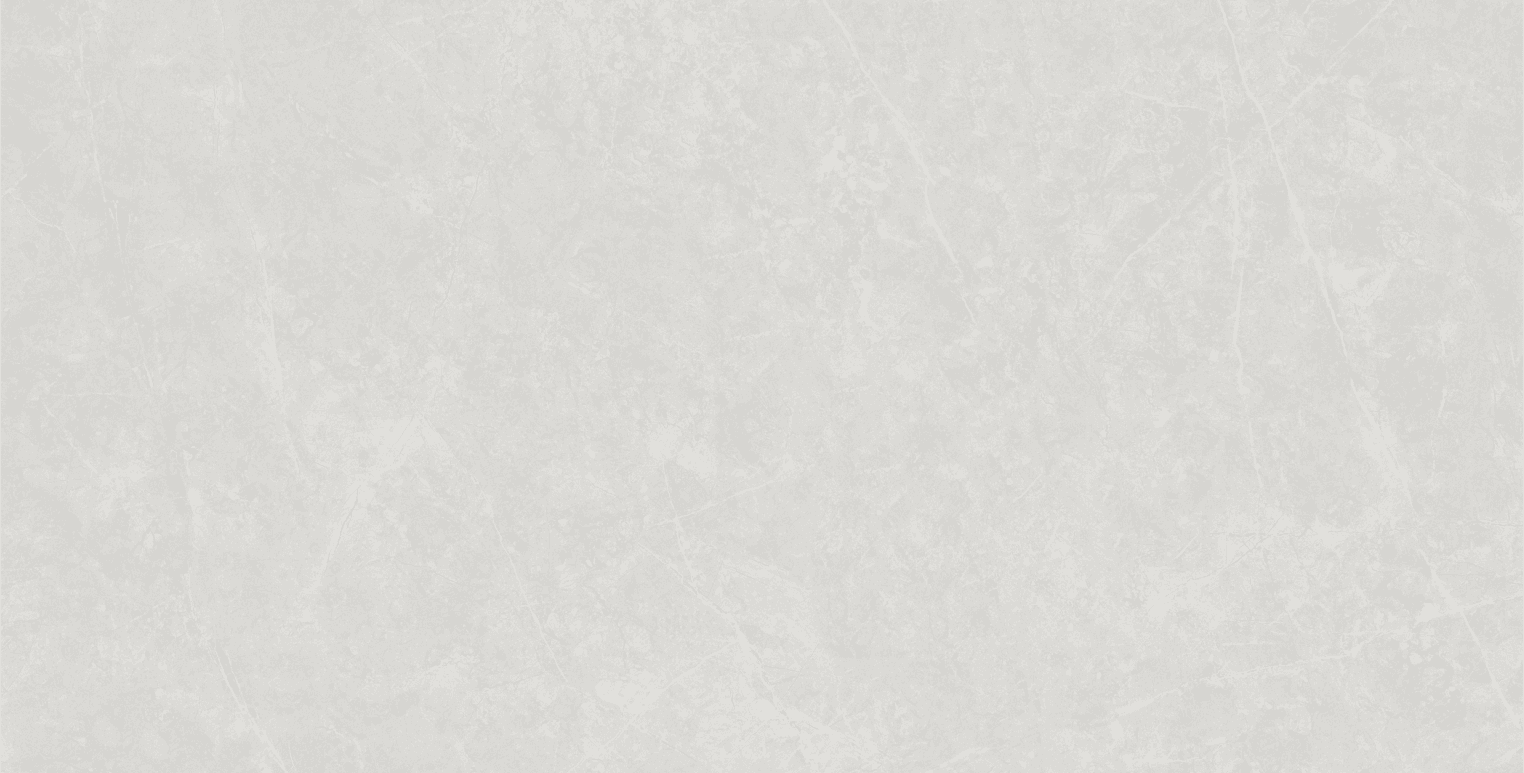 Anzio Light Grey slab 60 X 120 CM 6