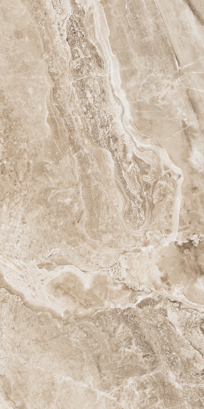 Roma Brown slab 120 X 60 CM 5