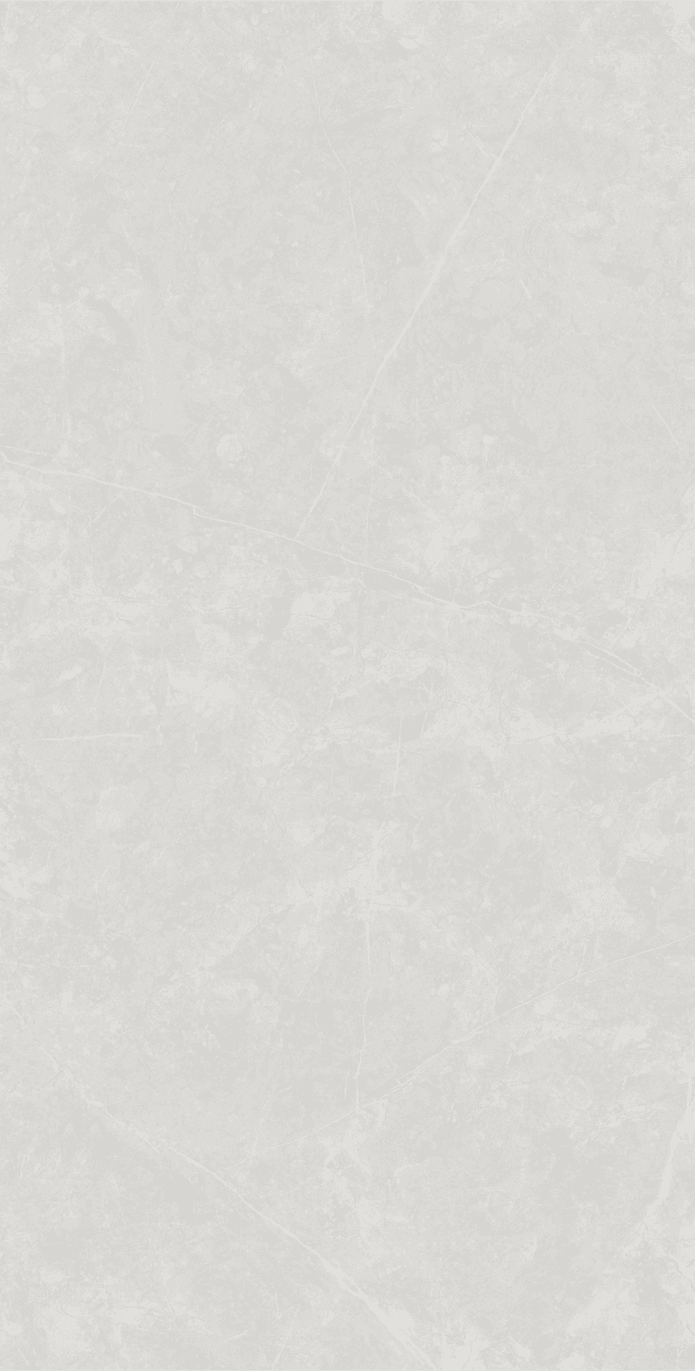 Anzio Light Grey slab 120 X 60 CM 8