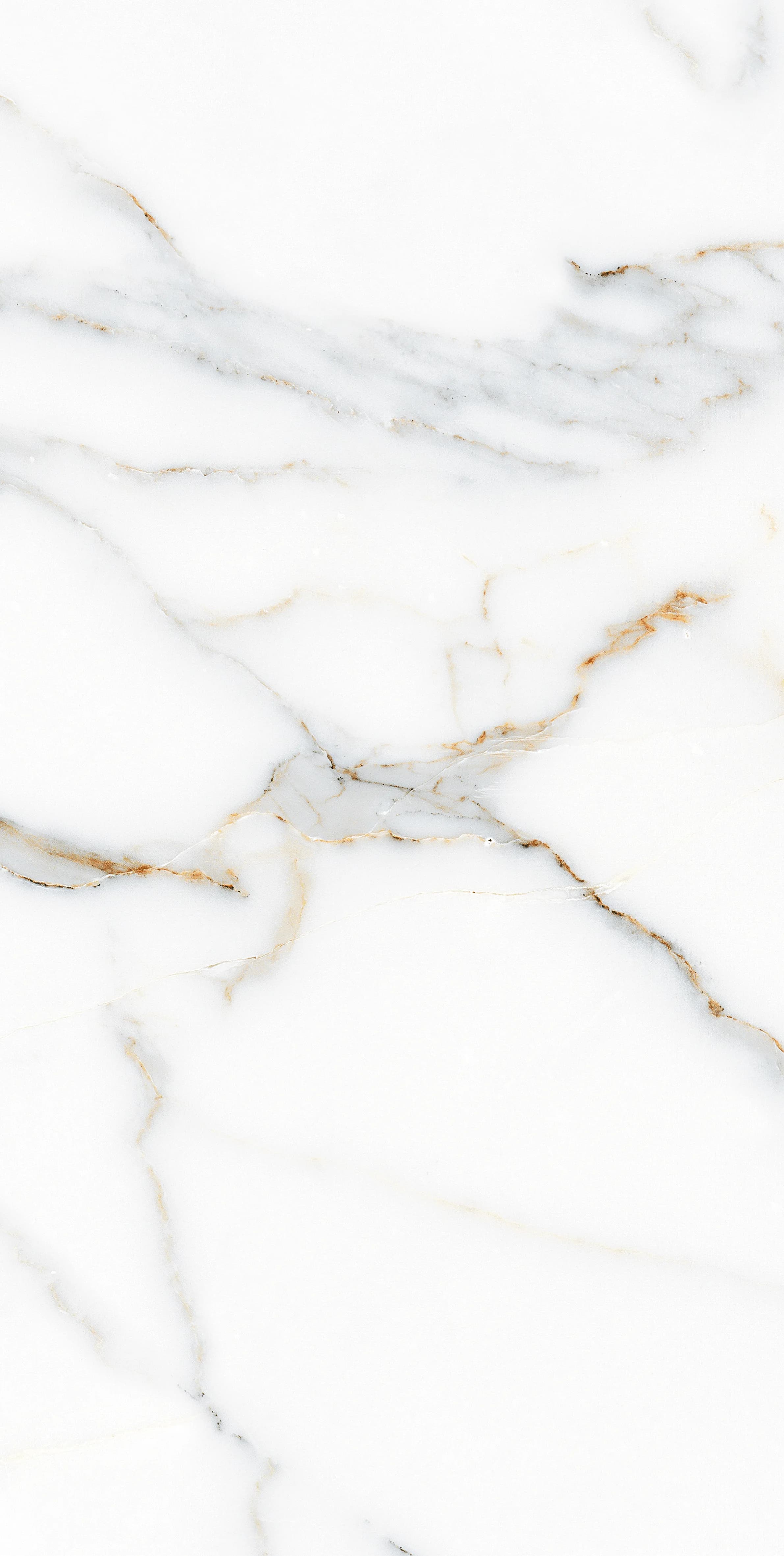 VG Statuario Gold slab 30 X 60 CM 1