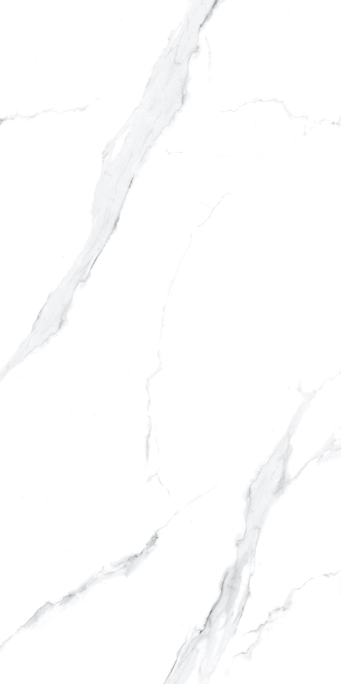 Vena Bianco - 3
