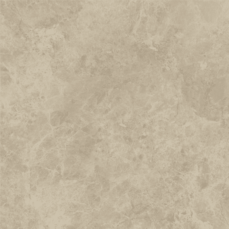 Terra Beige slab 60 X 60 CM 3